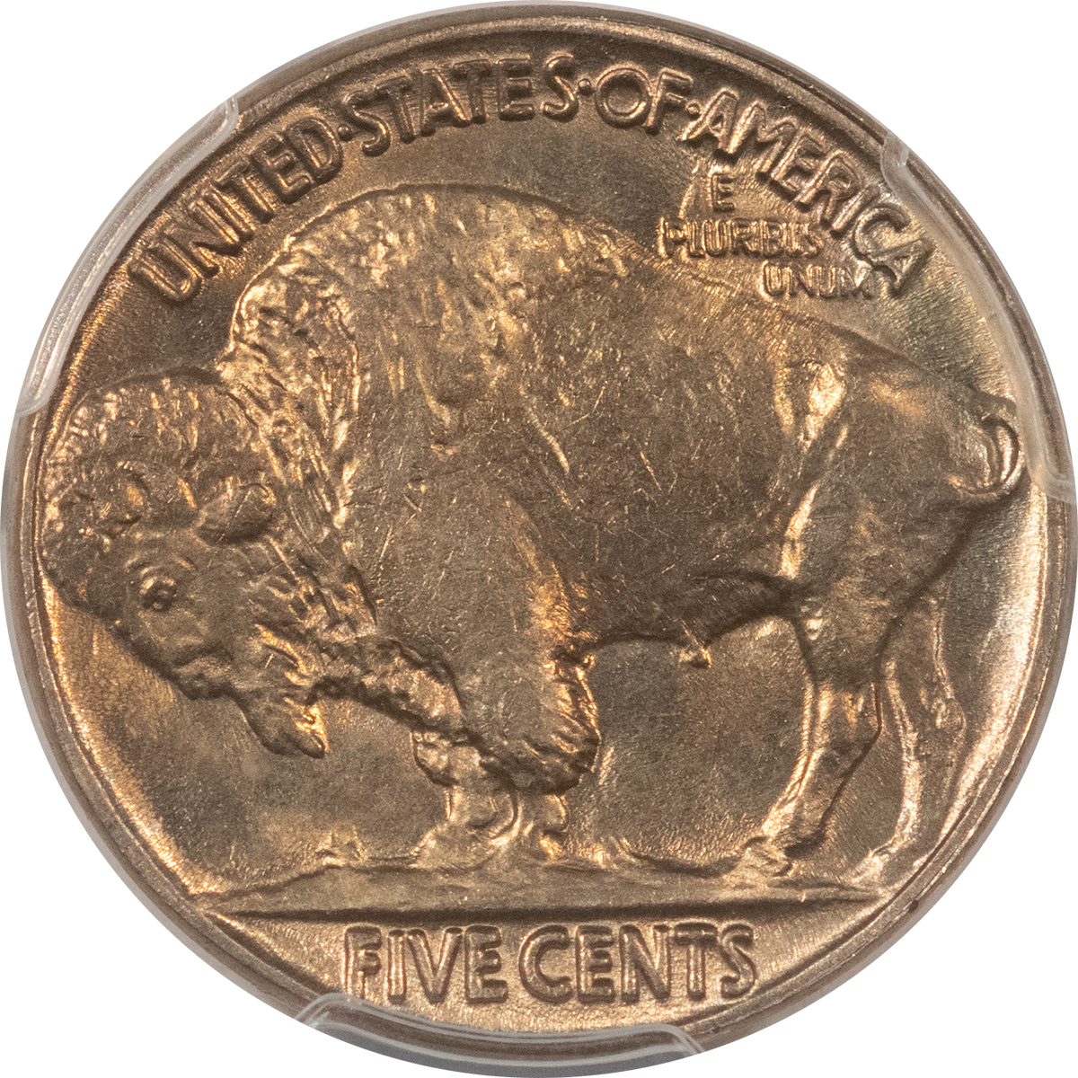 Buffalo Nickels 1935 BUFFALO NICKEL – PCGS MS-65, FRESH ATTRACTIVE GEM! Buffalo Nickels 1935 BUFFALO NICKEL – PCGS MS-65, FRESH ATTRACTIVE GEM!