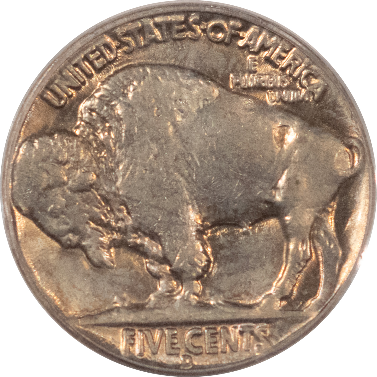 Buffalo Nickels 1935-D BUFFALO NICKEL – PCGS MS-63, CHOICE! Buffalo Nickels 1935-D BUFFALO NICKEL – PCGS MS-63, CHOICE!