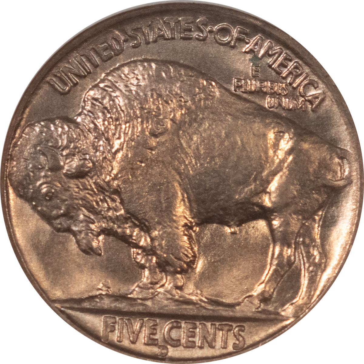Buffalo Nickels 1938-D BUFFALO NICKEL – NGC MS-66, FINAL YEAR! Buffalo Nickels 1938-D BUFFALO NICKEL – NGC MS-66, FINAL YEAR!