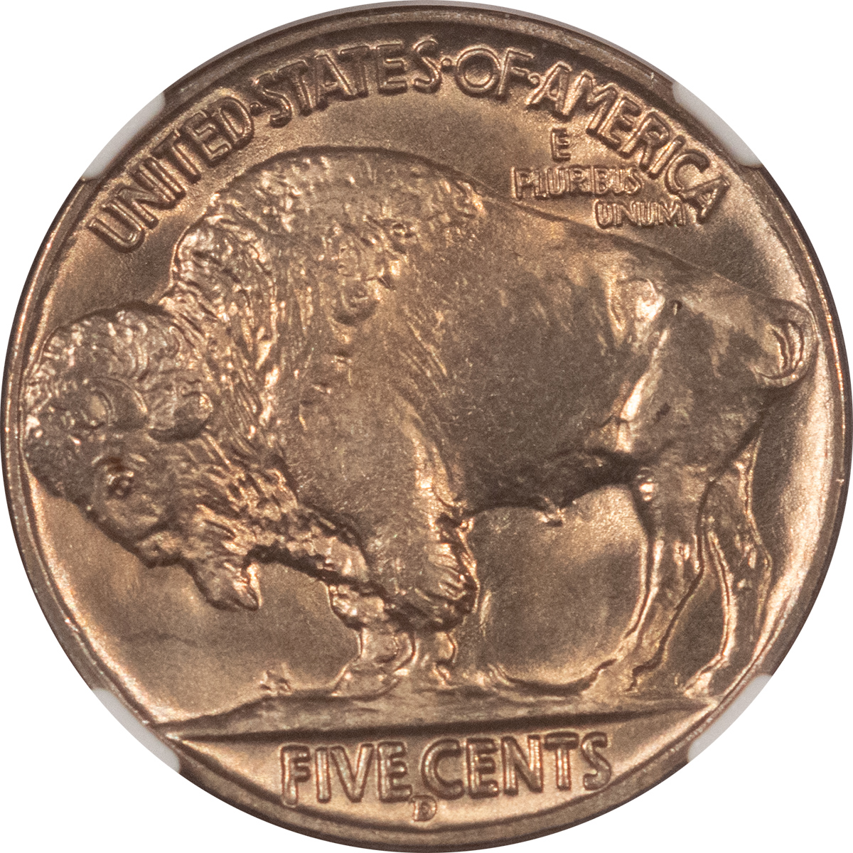 Buffalo Nickels 1938-D/S BUFFALO NICKEL – NGC MS-66 Buffalo Nickels 1938-D/S BUFFALO NICKEL – NGC MS-66