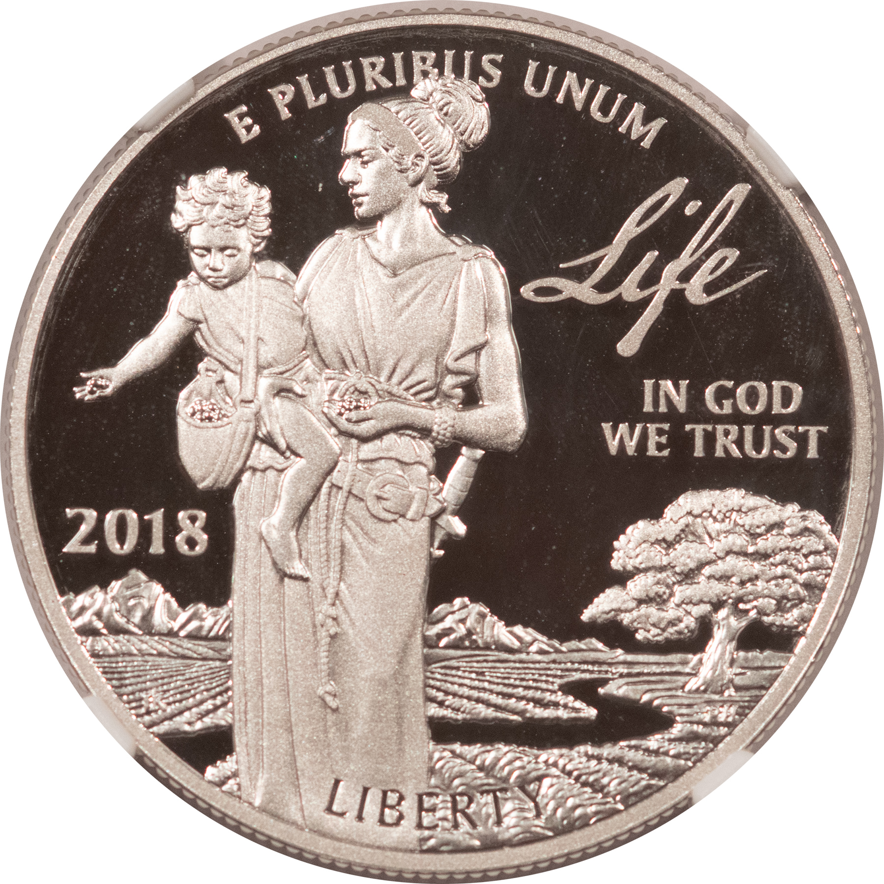 American Platinum Eagles 2018-W PROOF $100 PLATINUM EAGLE “LIFE” 1 OZ .9995 – NGC PF-69 UCAM W/ BOX & COA American Platinum Eagles 2018-W PROOF $100 PLATINUM EAGLE “LIFE” 1 OZ .9995 – NGC PF-69 UCAM W/ BOX & COA