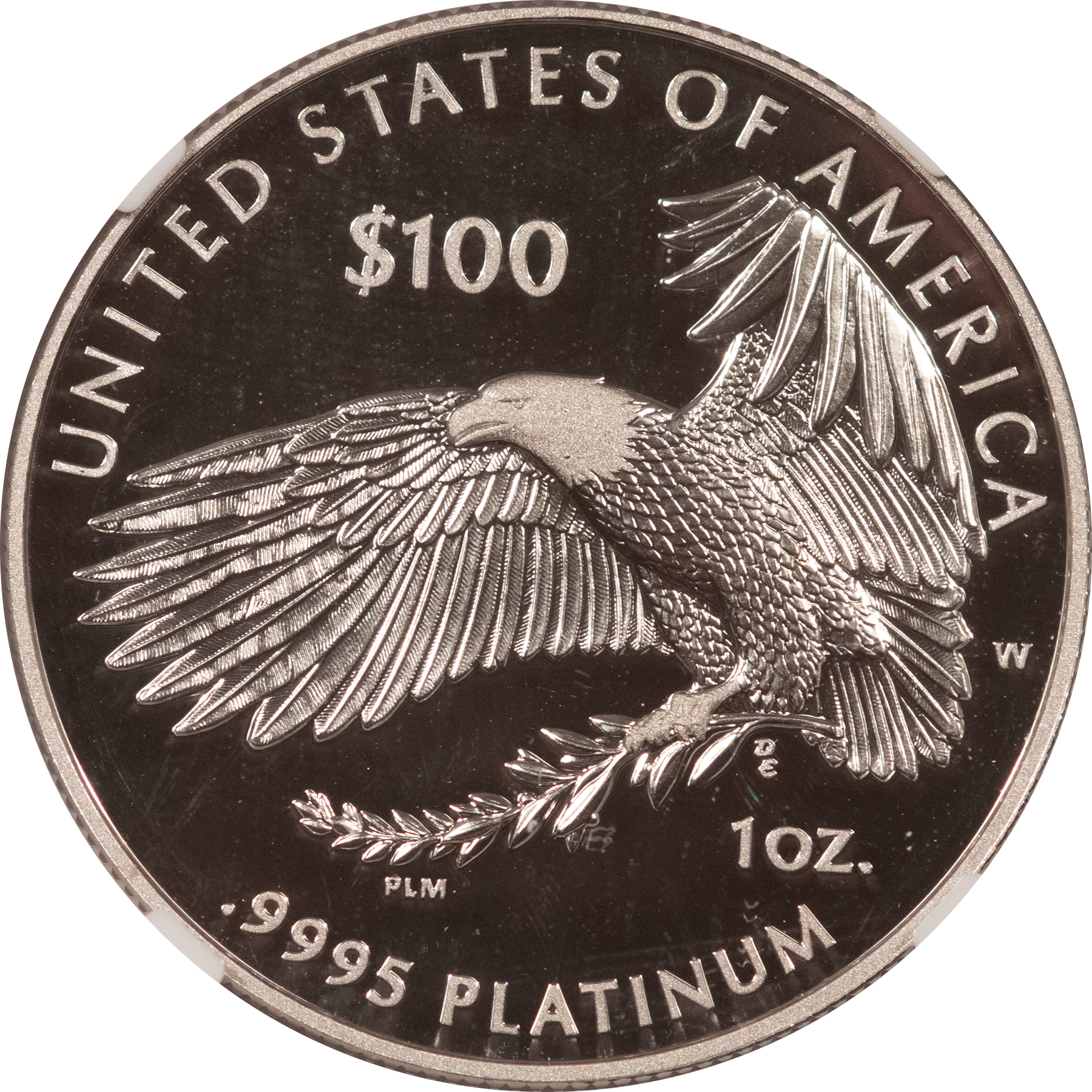 American Platinum Eagles 2018-W PROOF $100 PLATINUM EAGLE “LIFE” 1 OZ .9995 – NGC PF-69 UCAM W/ BOX & COA American Platinum Eagles 2018-W PROOF $100 PLATINUM EAGLE “LIFE” 1 OZ .9995 – NGC PF-69 UCAM W/ BOX & COA