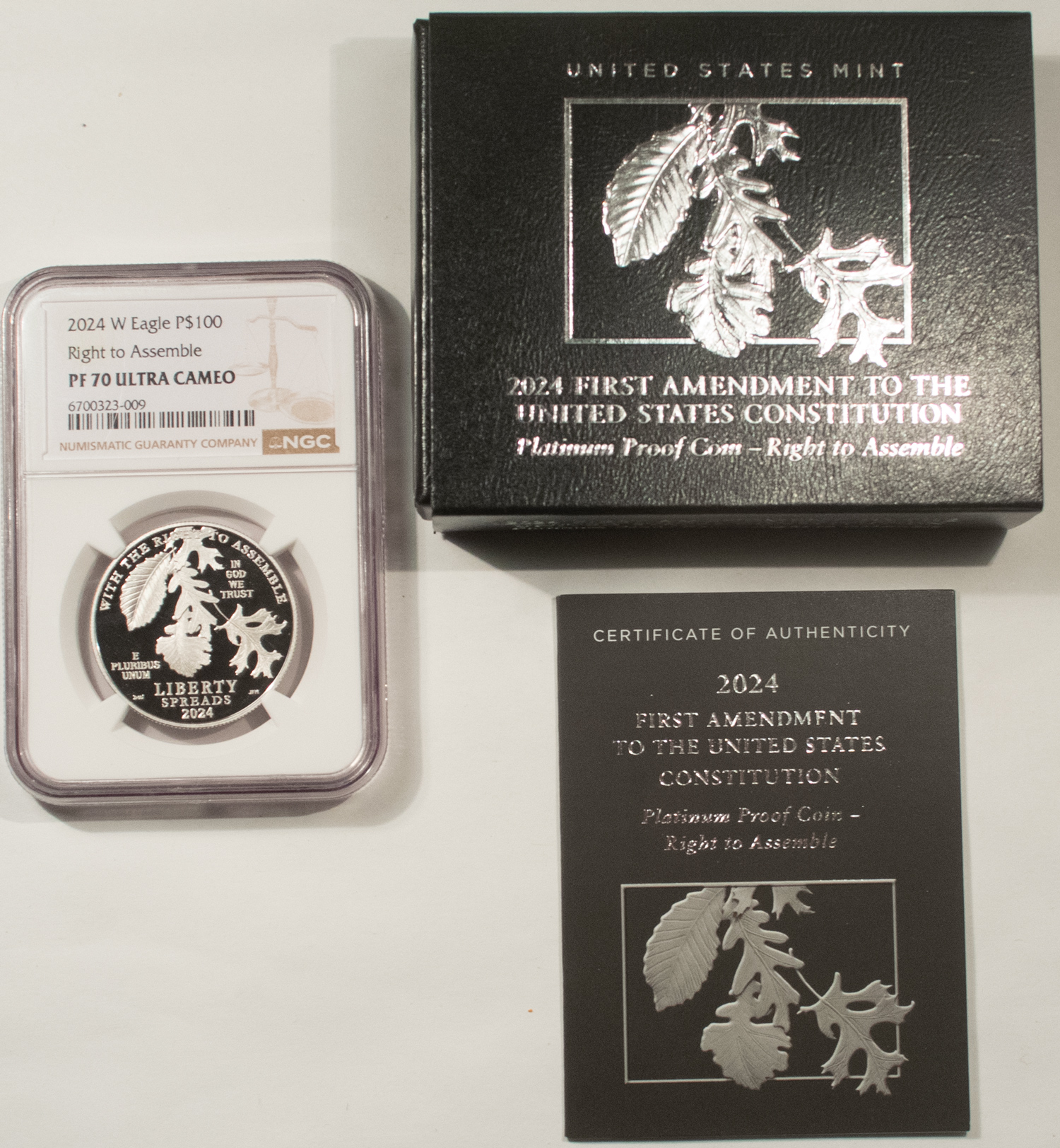 American Platinum Eagles 2024-W PROOF $100 PLATINUM EAGLE RIGHT TO ASSEMBLE 1 OZ .999 NGC PF70 UCAM + OGP American Platinum Eagles 2024-W PROOF $100 PLATINUM EAGLE RIGHT TO ASSEMBLE 1 OZ .999 NGC PF70 UCAM + OGP
