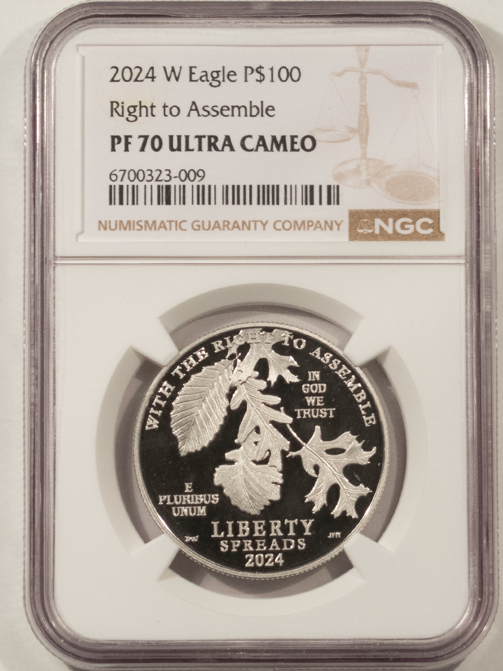 American Platinum Eagles 2024-W PROOF $100 PLATINUM EAGLE RIGHT TO ASSEMBLE 1 OZ .999 NGC PF70 UCAM + OGP American Platinum Eagles 2024-W PROOF $100 PLATINUM EAGLE RIGHT TO ASSEMBLE 1 OZ .999 NGC PF70 UCAM + OGP