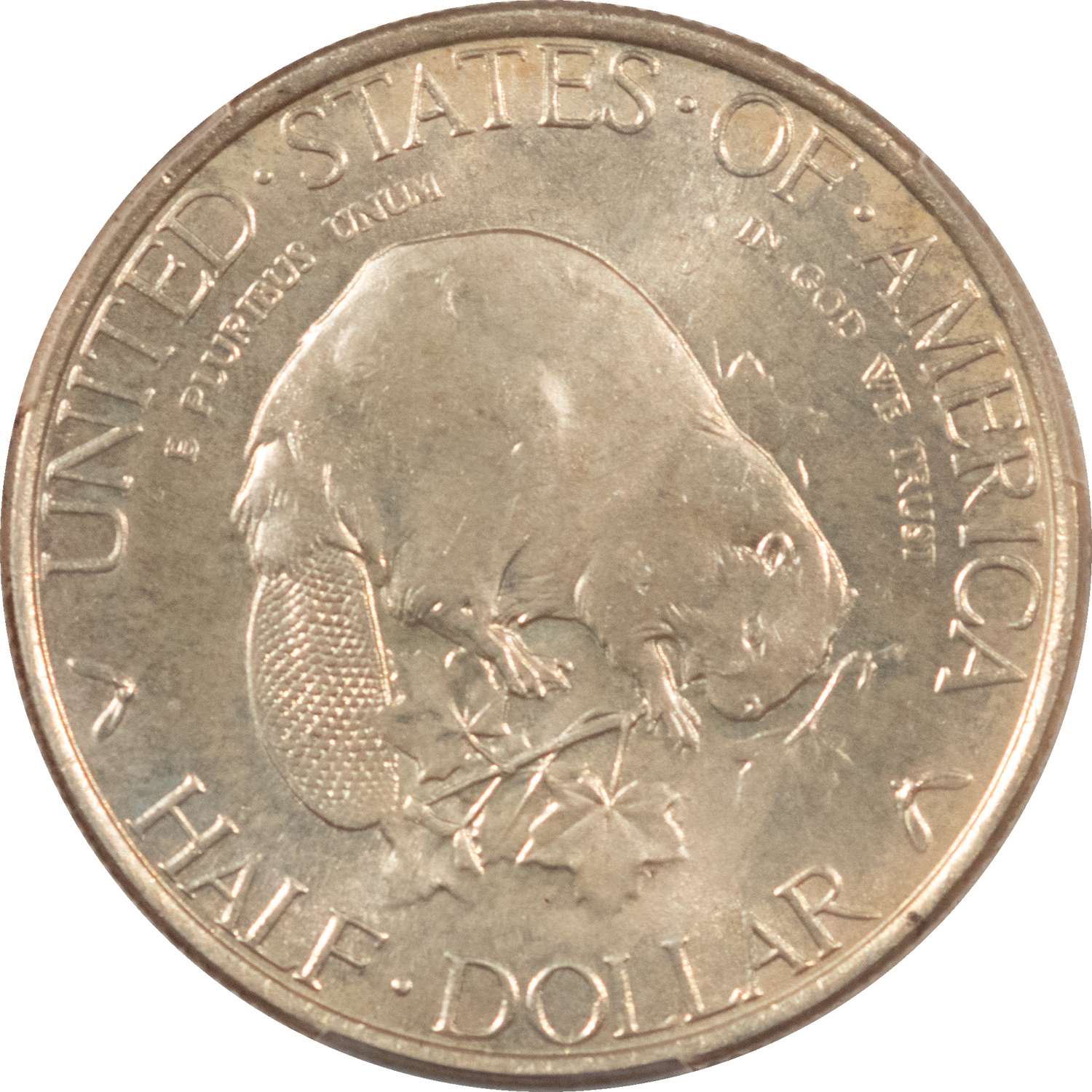 Early Commems 1936 ALBANY COMMEMORATIVE HALF DOLLAR – PCGS MS-65 Early Commems 1936 ALBANY COMMEMORATIVE HALF DOLLAR – PCGS MS-65