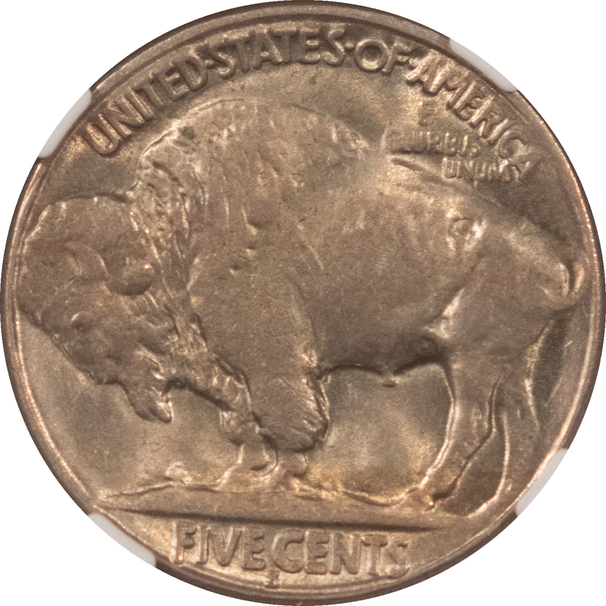 Buffalo Nickels 1923-S BUFFALO NICKEL – NGC MS-63, TOUGH! Buffalo Nickels 1923-S BUFFALO NICKEL – NGC MS-63, TOUGH!