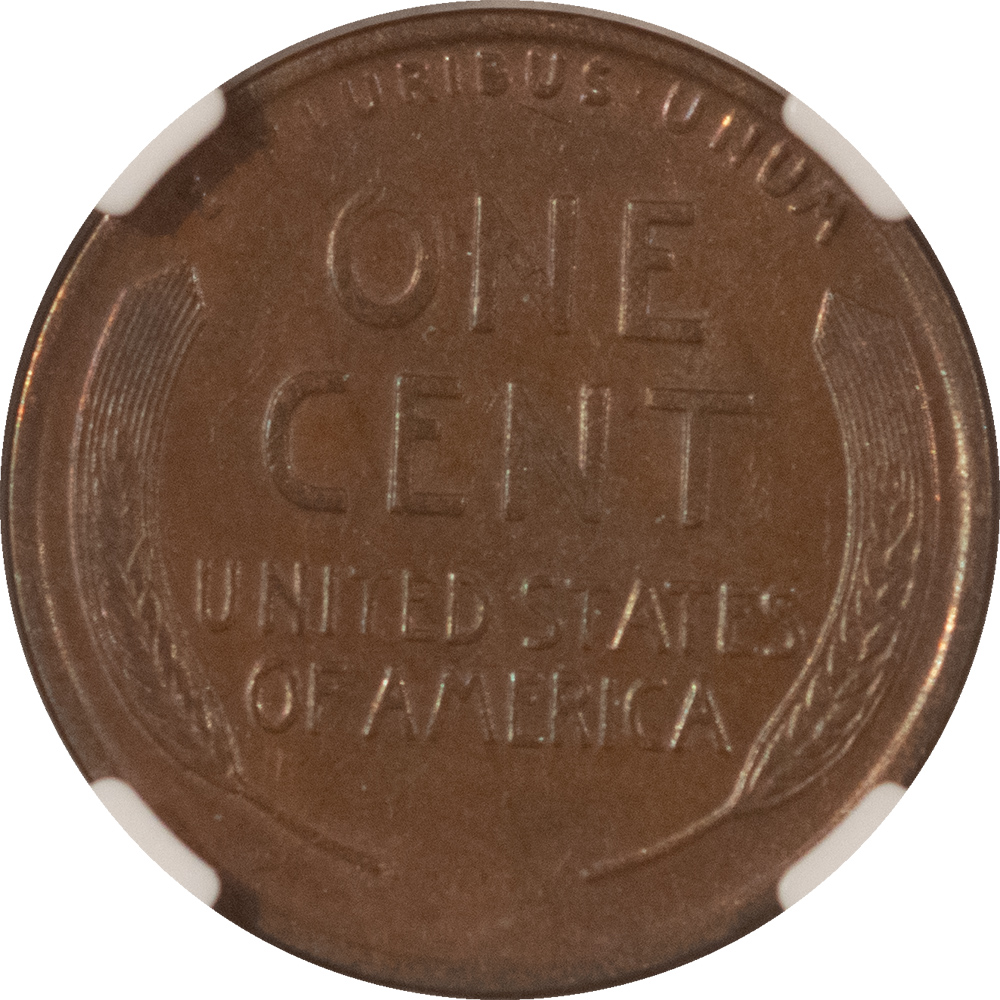 Lincoln Cents (Wheat) 1919-D LINCOLN CENT – NGC AU-55 BN LOOKS BROWN UNC! Lincoln Cents (Wheat) 1919-D LINCOLN CENT – NGC AU-55 BN LOOKS BROWN UNC!
