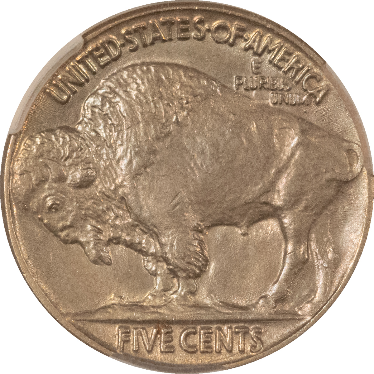 Buffalo Nickels 1937 BUFFALO NICKEL – CACG MS-66, PRETTY & PREMIUM QUALITY! CAC APPROVED! Buffalo Nickels 1937 BUFFALO NICKEL – CACG MS-66, PRETTY & PREMIUM QUALITY! CAC APPROVED!
