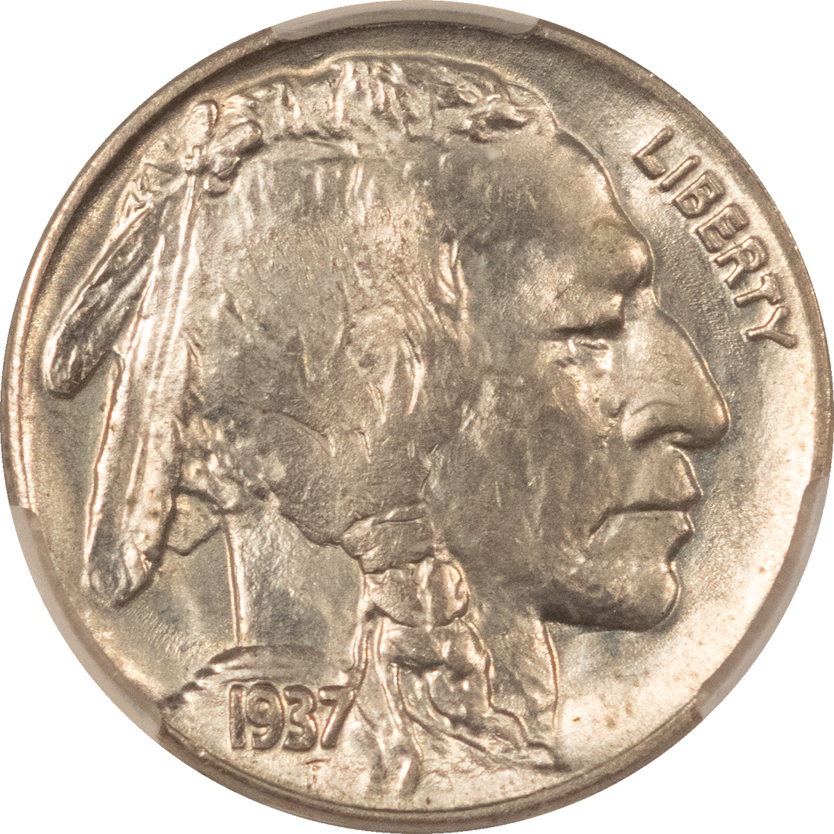 Buffalo Nickels 1937 BUFFALO NICKEL – CACG MS-65, GEM! CAC APPROVED! Buffalo Nickels 1937 BUFFALO NICKEL – CACG MS-65, GEM! CAC APPROVED!