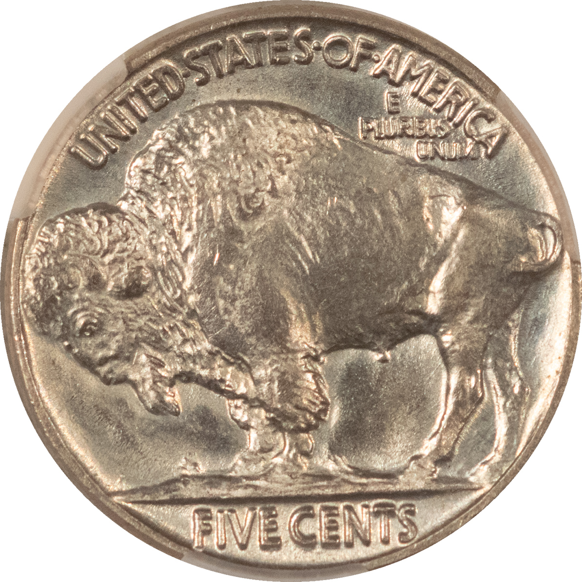 Buffalo Nickels 1937 BUFFALO NICKEL – CACG MS-65, GEM! CAC APPROVED! Buffalo Nickels 1937 BUFFALO NICKEL – CACG MS-65, GEM! CAC APPROVED!
