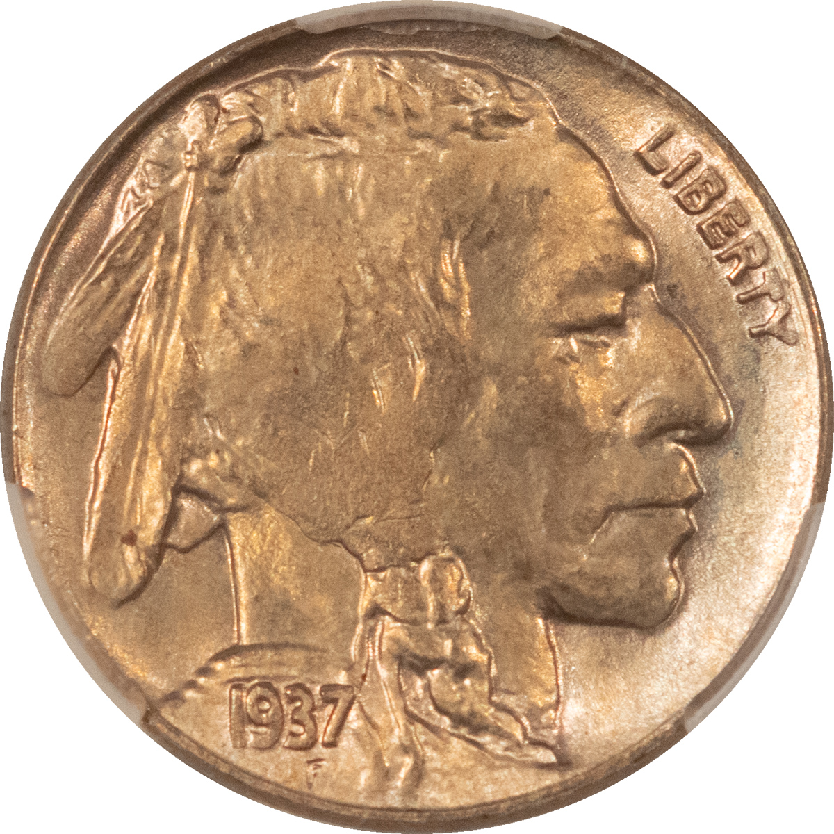 Buffalo Nickels 1937-D BUFFALO NICKEL – CACG MS-64, PREMIUM QUALITY+! CAC APPROVED! Buffalo Nickels 1937-D BUFFALO NICKEL – CACG MS-64, PREMIUM QUALITY+! CAC APPROVED!