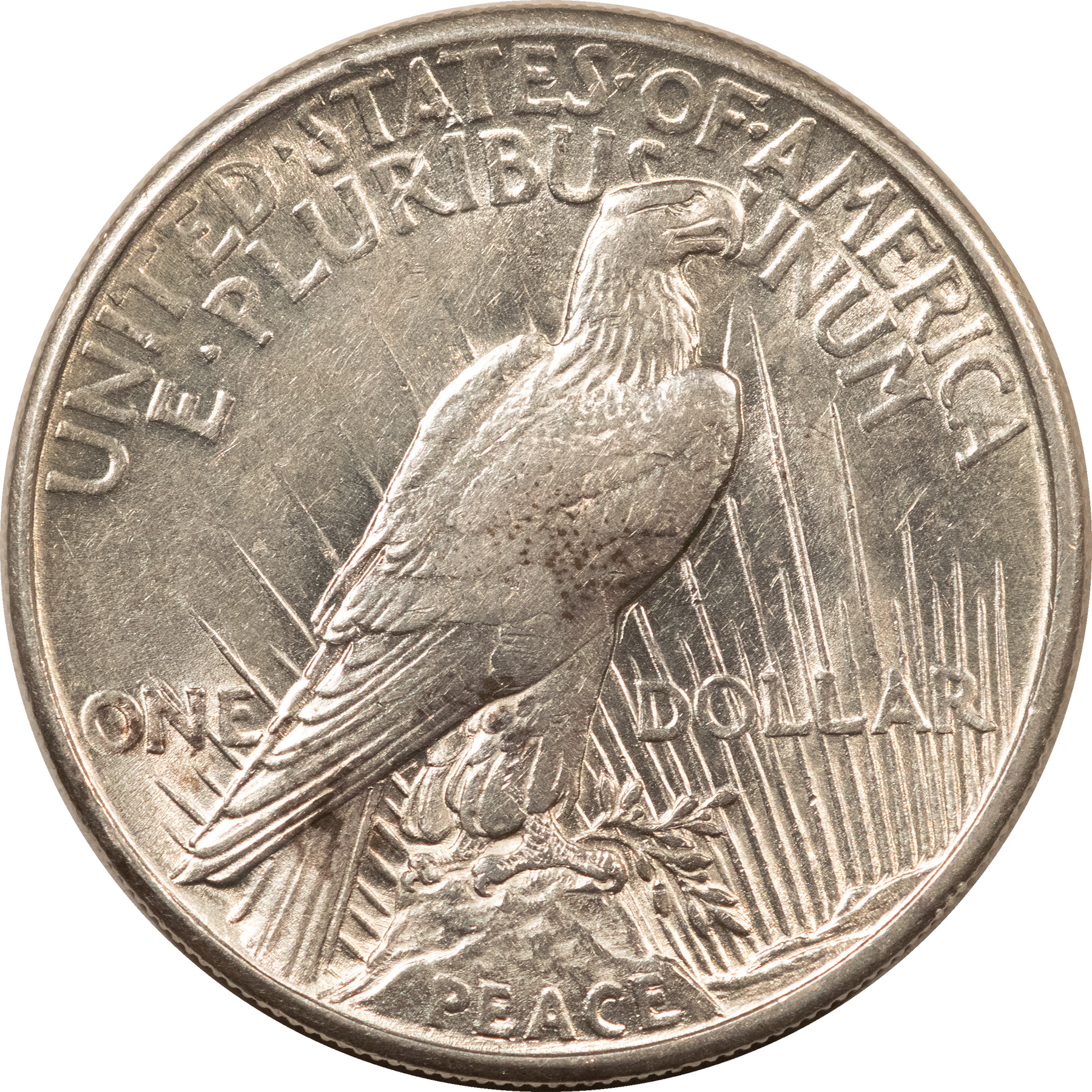 Dollars 1921 HIGH RELIEF PEACE DOLLAR – HIGH GRADE EXAMPLE! Dollars 1921 HIGH RELIEF PEACE DOLLAR – HIGH GRADE EXAMPLE!