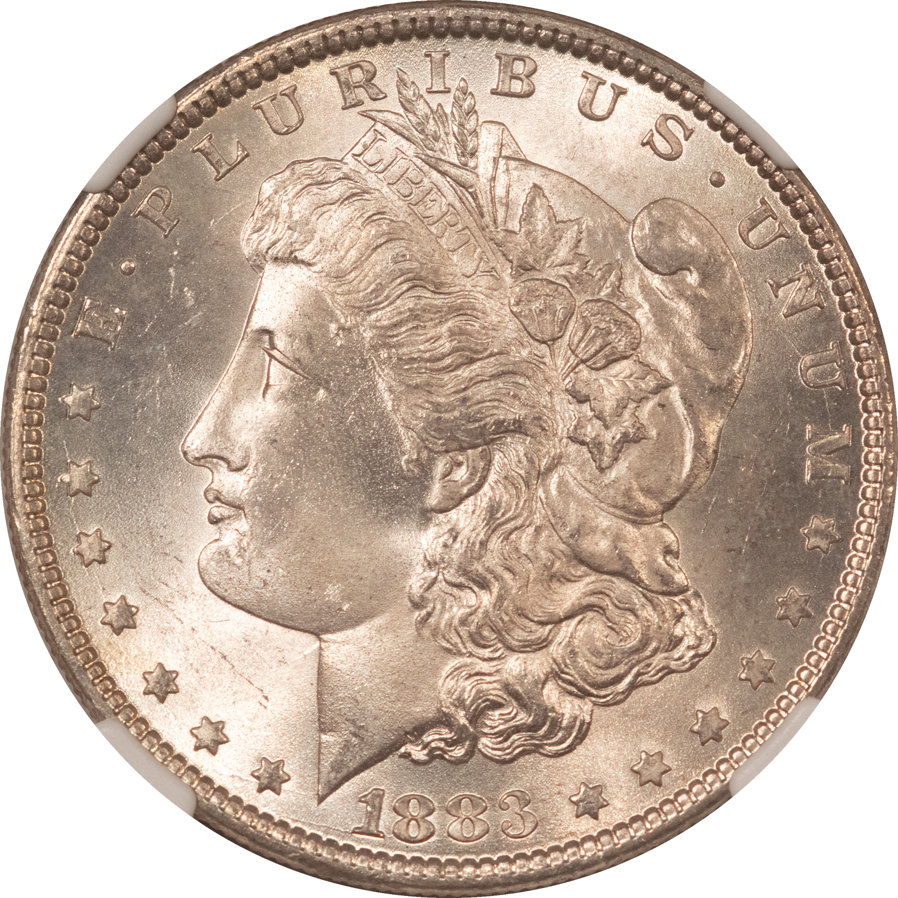 Dollars 1883 $1 MORGAN DOLLAR – NGC MS-65 FRESH GEM, PRISTINE CHEEK! Dollars 1883 $1 MORGAN DOLLAR – NGC MS-65 FRESH GEM, PRISTINE CHEEK!