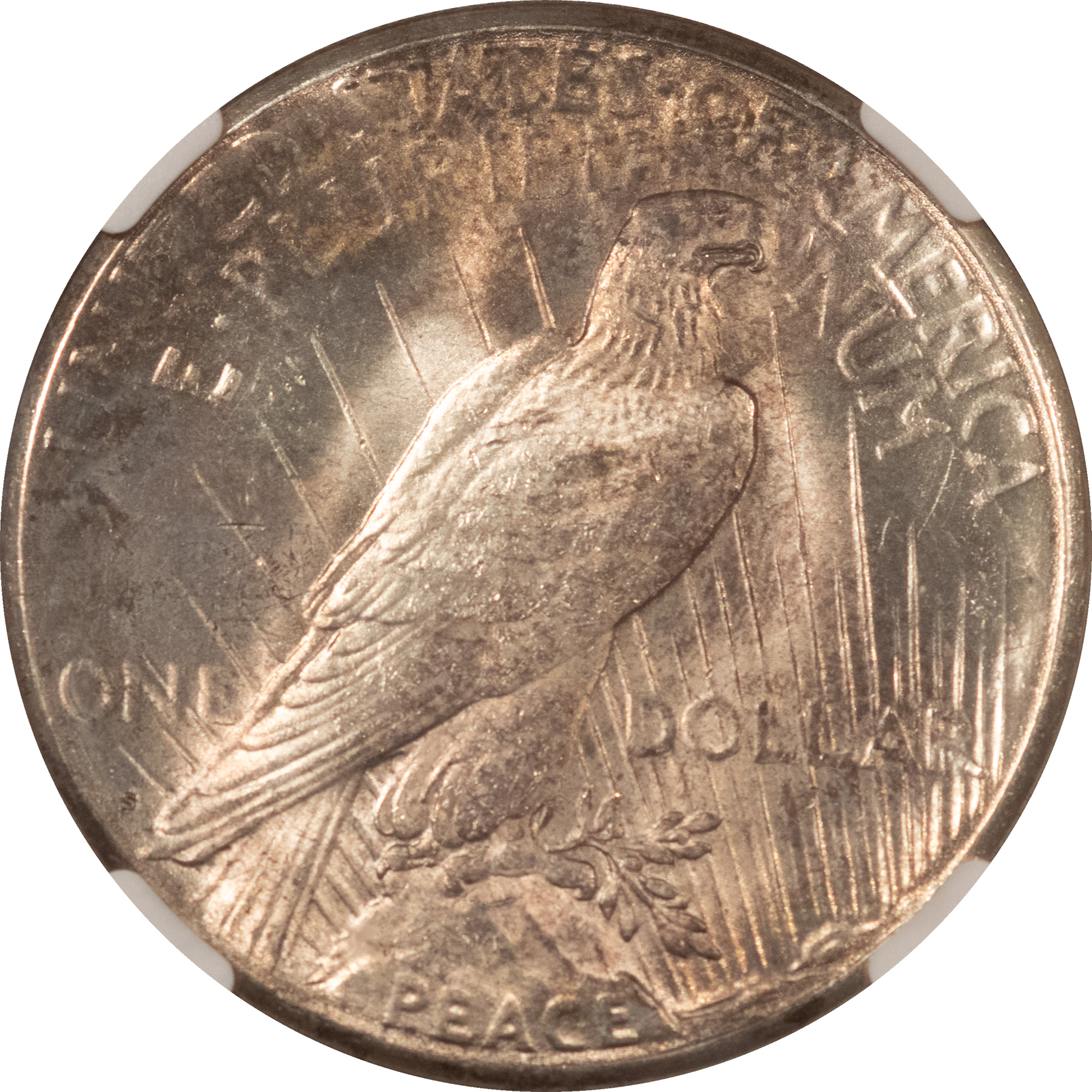 Dollars 1923-S $1 PEACE DOLLAR – NGC MS-63 Dollars 1923-S $1 PEACE DOLLAR – NGC MS-63