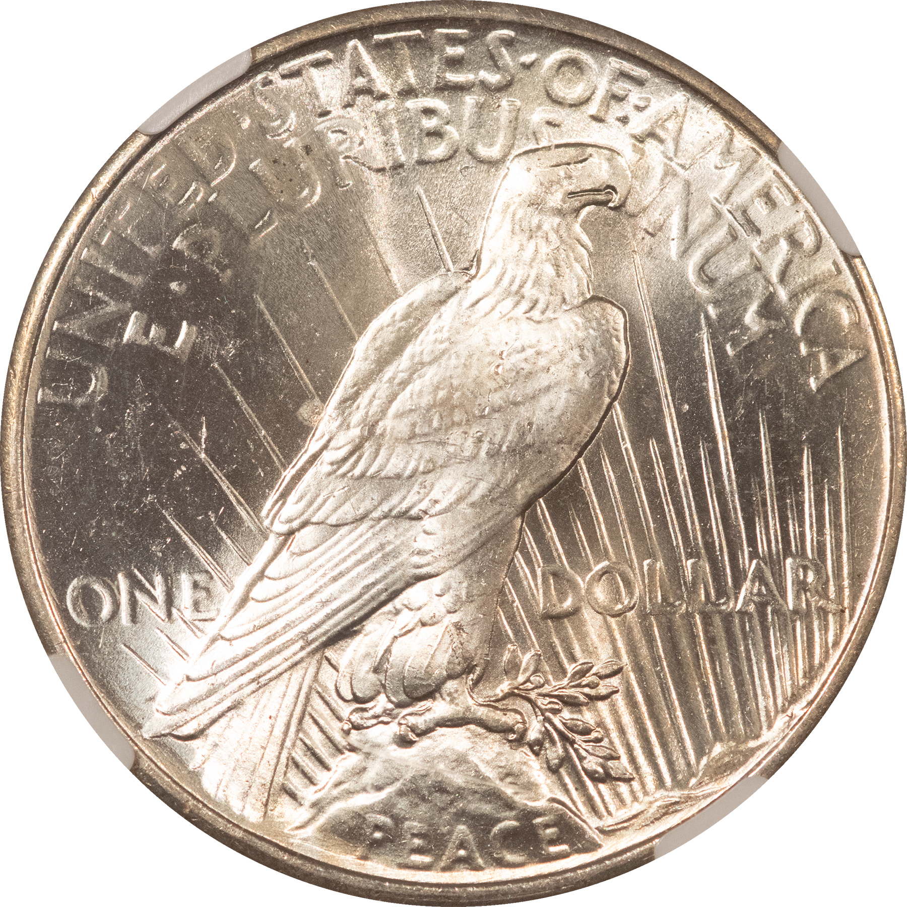 Dollars 1925 $1 PEACE DOLLAR – NGC MS-65 FLASHY GEM! Dollars 1925 $1 PEACE DOLLAR – NGC MS-65 FLASHY GEM!
