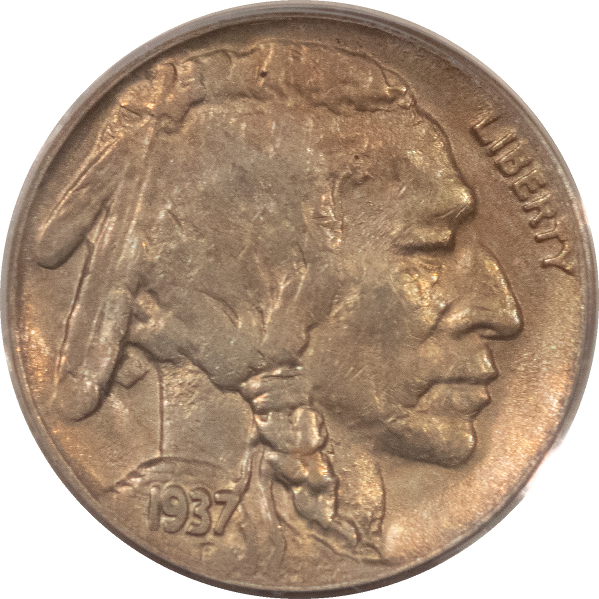 Buffalo Nickels 1937-D 3 LEGS BUFFALO NICKEL – PCGS XF-45, PREMIUM QUALITY++ & CAC APPROVED! Buffalo Nickels 1937-D 3 LEGS BUFFALO NICKEL – PCGS XF-45, PREMIUM QUALITY++ & CAC APPROVED!