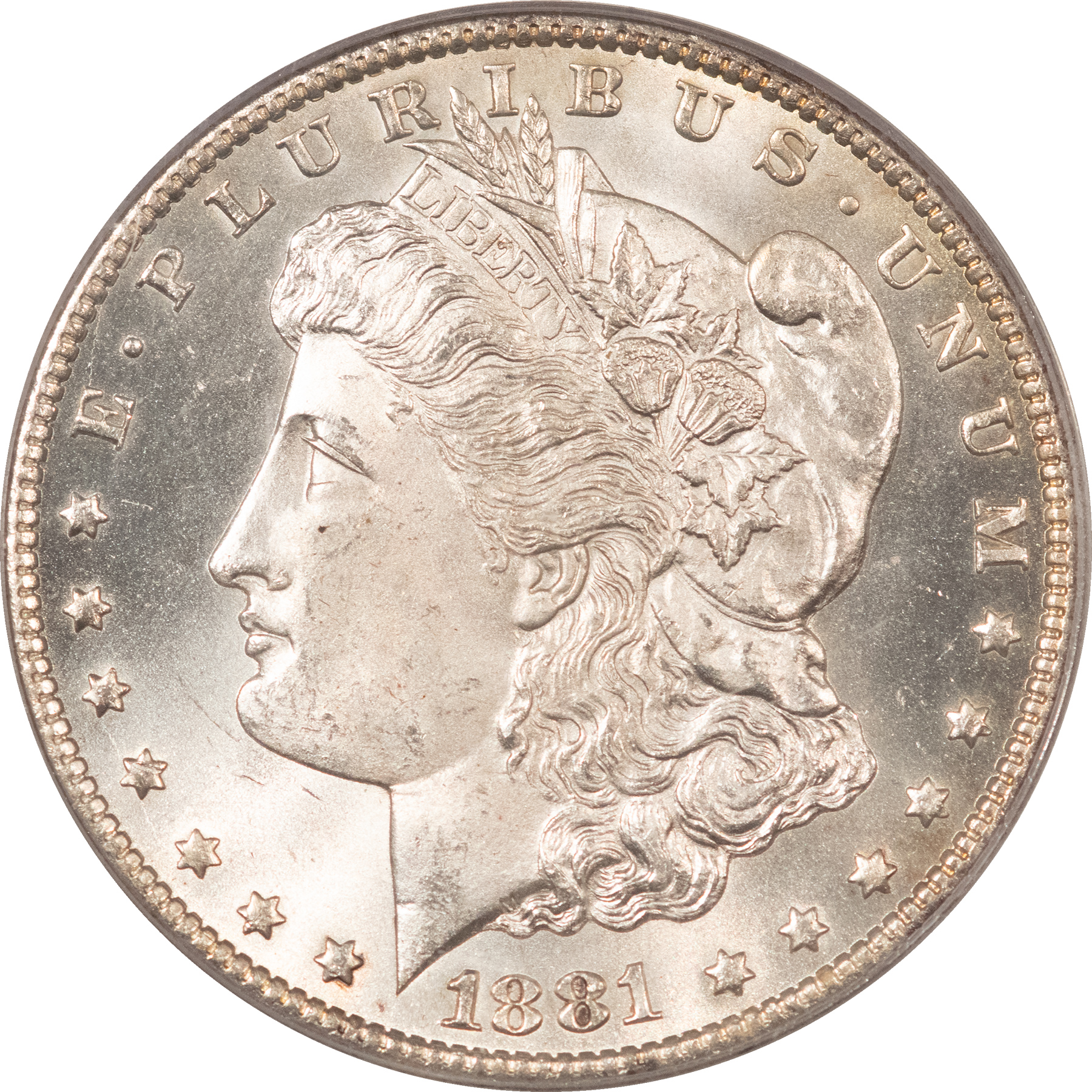 CAC Approved Coins 1881-CC $1 MORGAN DOLLAR PCGS MS-64 PREMIUM QUALITY++ CAC APPROVED! CARSON CITY! CAC Approved Coins 1881-CC $1 MORGAN DOLLAR PCGS MS-64 PREMIUM QUALITY++ CAC APPROVED! CARSON CITY!