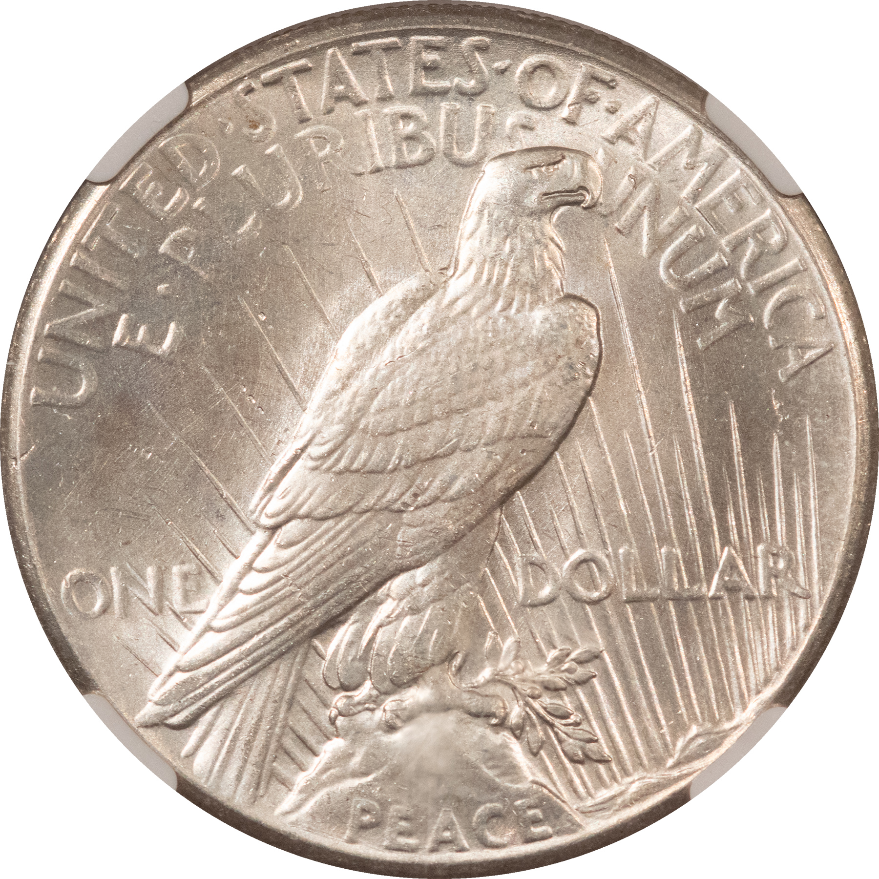 CAC Approved Coins 1928 $1 PEACE DOLLAR – NGC MS-63, CAC APPROVED! CAC Approved Coins 1928 $1 PEACE DOLLAR – NGC MS-63, CAC APPROVED!