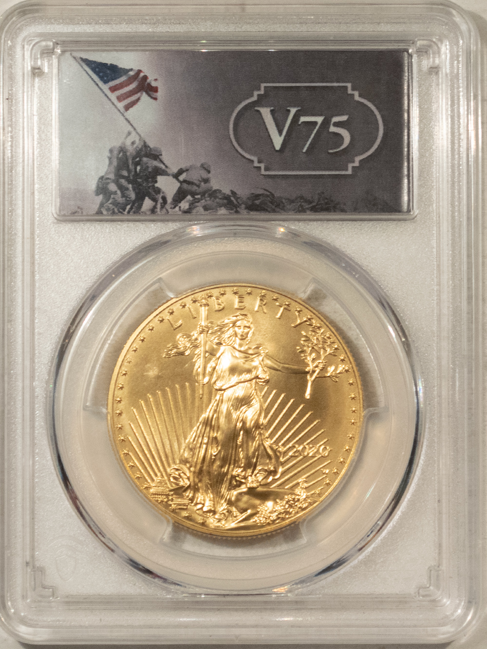 American Gold Eagles, Buffaloes, & Liberty Series 2020-W $50 BURNISHED 1 OZ AMERICAN GOLD EAGLE PCGS SP-70 V75 LABEL FIRST STRIKE American Gold Eagles, Buffaloes, & Liberty Series 2020-W $50 BURNISHED 1 OZ AMERICAN GOLD EAGLE PCGS SP-70 V75 LABEL FIRST STRIKE