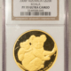American Gold Eagles, Buffaloes, & Liberty Series 2020-W $50 BURNISHED 1 OZ AMERICAN GOLD EAGLE PCGS SP-70 V75 LABEL FIRST STRIKE American Gold Eagles, Buffaloes, & Liberty Series 2020-W $50 BURNISHED 1 OZ AMERICAN GOLD EAGLE PCGS SP-70 V75 LABEL FIRST STRIKE