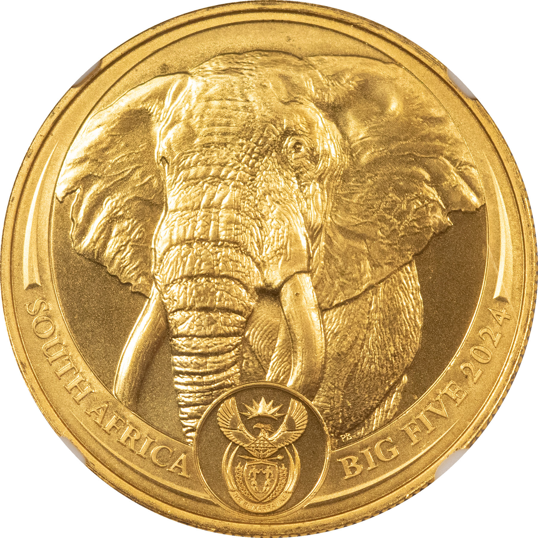 Bullion 2024 SOUTH AFRICA 1 OZ GOLD 50 RAND BIG 5 SERIES, ELEPHANT 1 OZ – NGC MS-70 Bullion 2024 SOUTH AFRICA 1 OZ GOLD 50 RAND BIG 5 SERIES, ELEPHANT 1 OZ – NGC MS-70