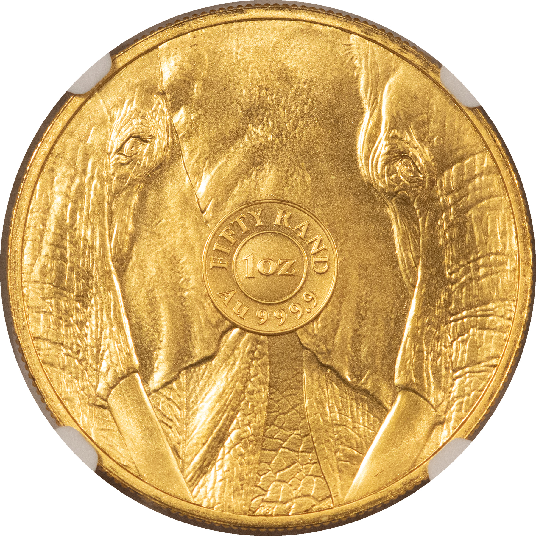 Bullion 2024 SOUTH AFRICA 1 OZ GOLD 50 RAND BIG 5 SERIES, ELEPHANT 1 OZ – NGC MS-70 Bullion 2024 SOUTH AFRICA 1 OZ GOLD 50 RAND BIG 5 SERIES, ELEPHANT 1 OZ – NGC MS-70