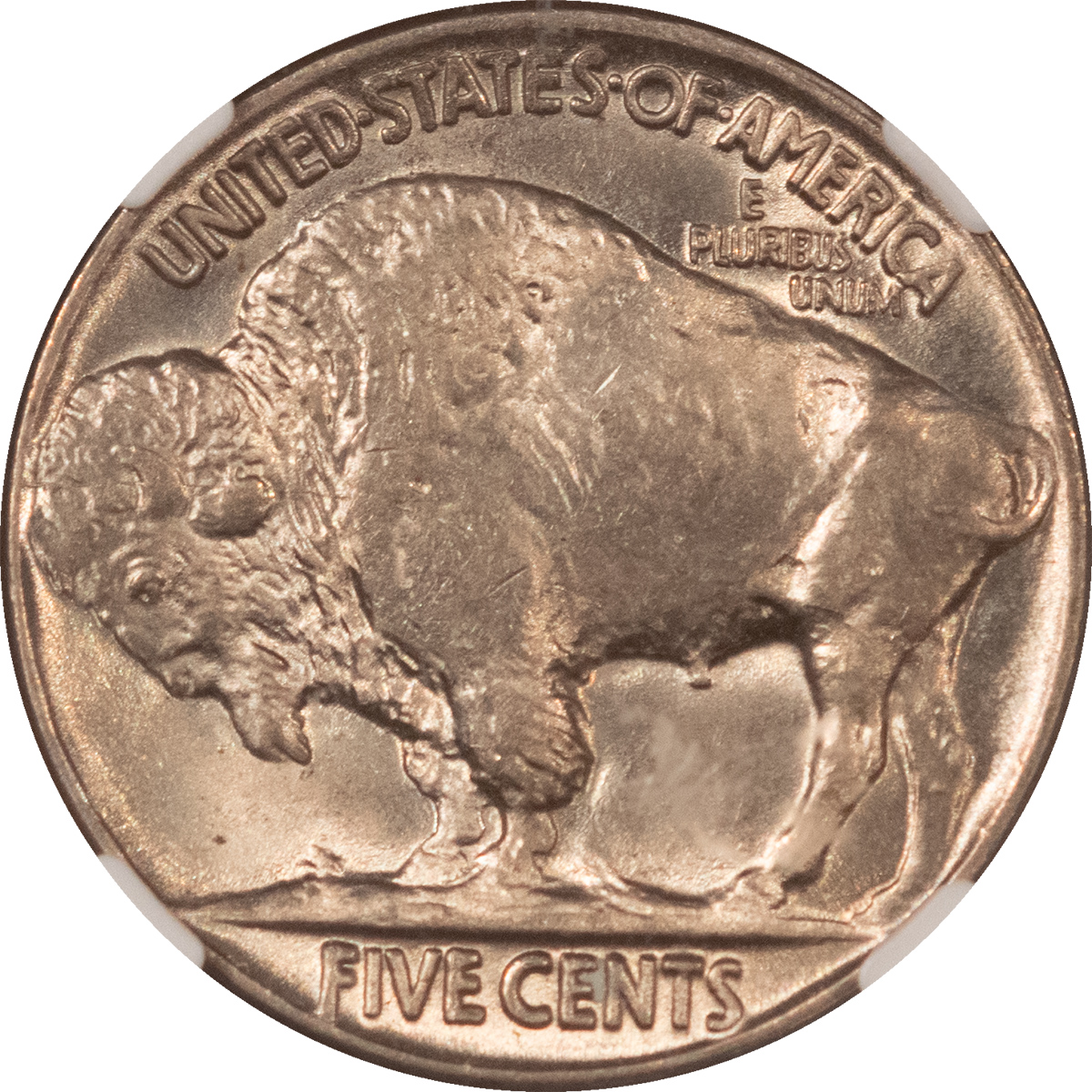 Buffalo Nickels 1925 BUFFALO NICKEL – NGC MS-65, 66 QUALITY! BLAZING LUSTER! CAC APPROVED! Buffalo Nickels 1925 BUFFALO NICKEL – NGC MS-65, 66 QUALITY! BLAZING LUSTER! CAC APPROVED!
