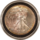 American Silver Eagles 2006 $1 AMERICAN SILVER EAGLE 1 OZ .999 – GEM BU IN CAPSULE!