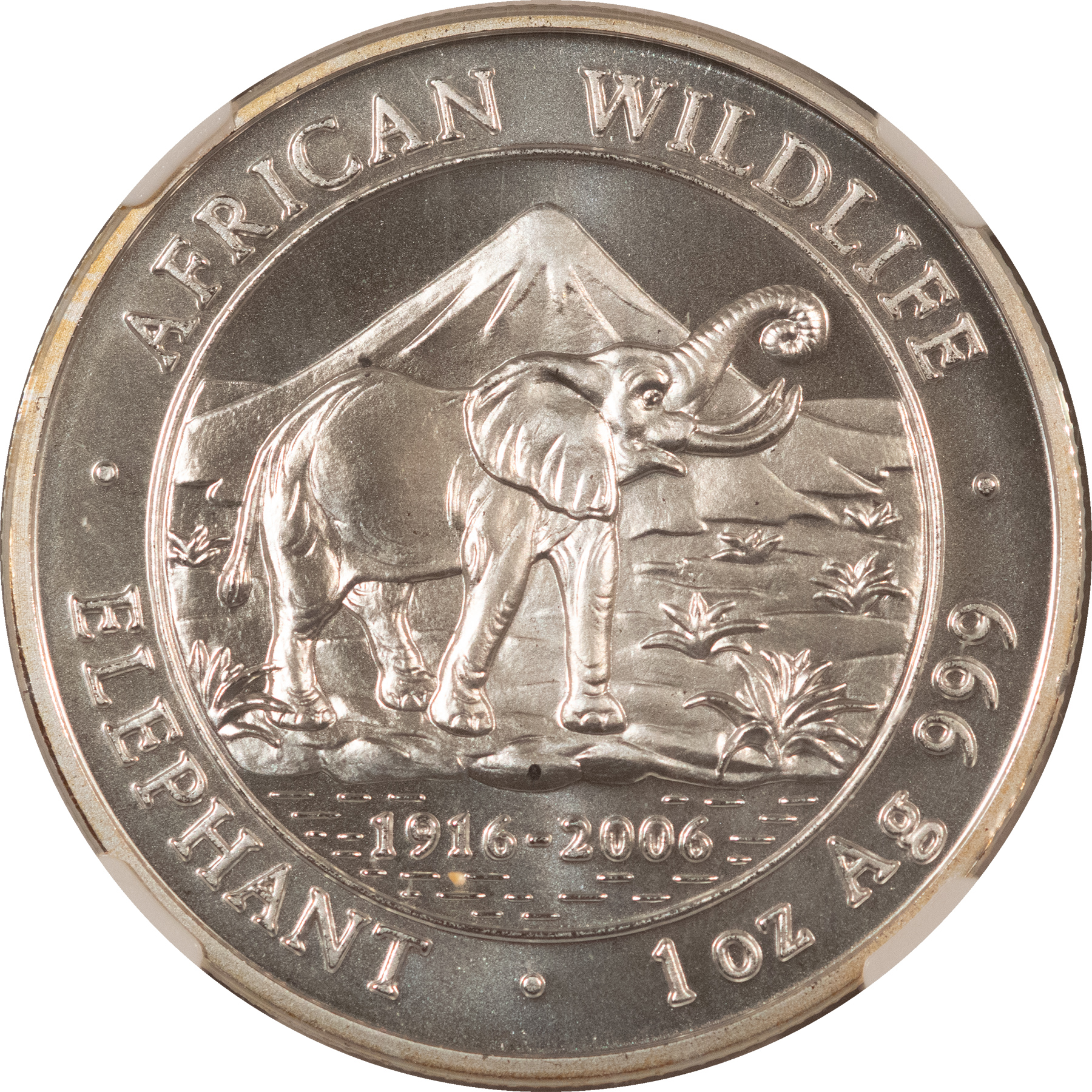 Bullion 2006 SOMALIA 1000 SHILLINGS 1 OZ 999 SILVER AFRICAN ELEPHANT – NGC MS-70, RARE! Bullion 2006 SOMALIA 1000 SHILLINGS 1 OZ 999 SILVER AFRICAN ELEPHANT – NGC MS-70, RARE!