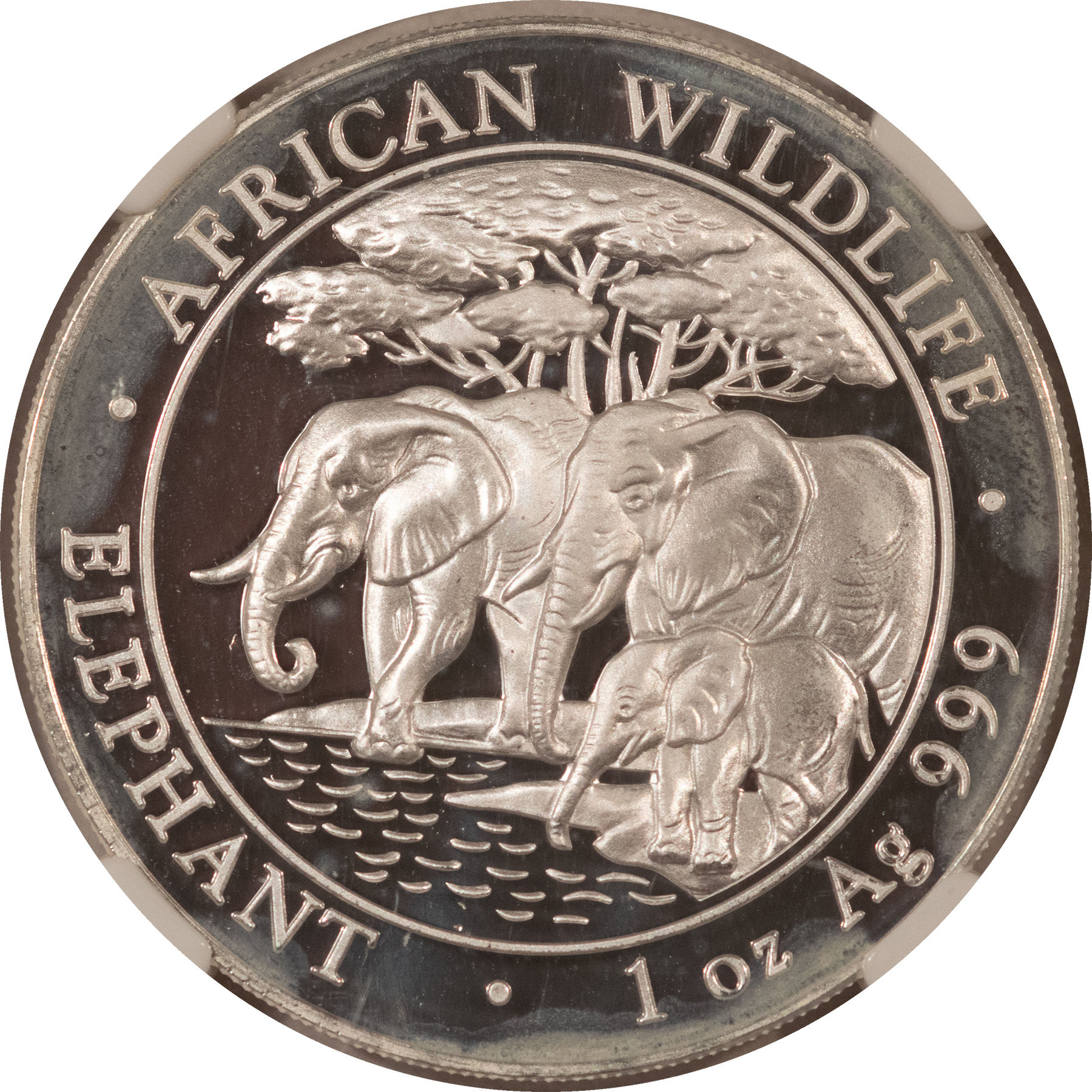 Bullion 2013 SOMALIA 100 SHILLINGS 1 OZ 999 AFRICAN ELEPHANT EARLY REL – NGC MS-70, HAZY Bullion 2013 SOMALIA 100 SHILLINGS 1 OZ 999 AFRICAN ELEPHANT EARLY REL – NGC MS-70, HAZY
