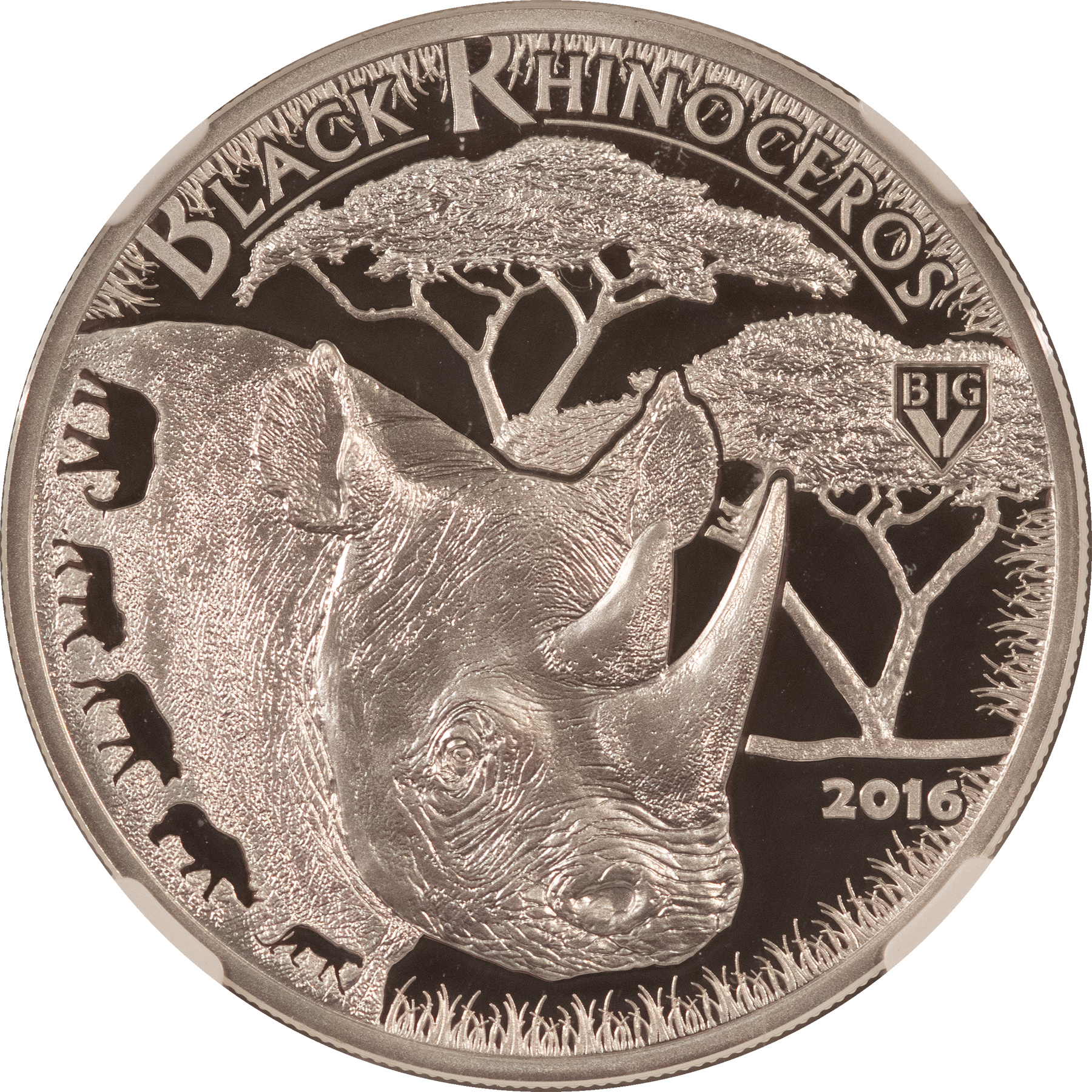 Bullion 2016 PROOF TANZANIA 1000 SHILLINGS BLACK RHINO BIG 5 HIGH RELIEF, NGC PF-70 UCAM Bullion 2016 PROOF TANZANIA 1000 SHILLINGS BLACK RHINO BIG 5 HIGH RELIEF, NGC PF-70 UCAM