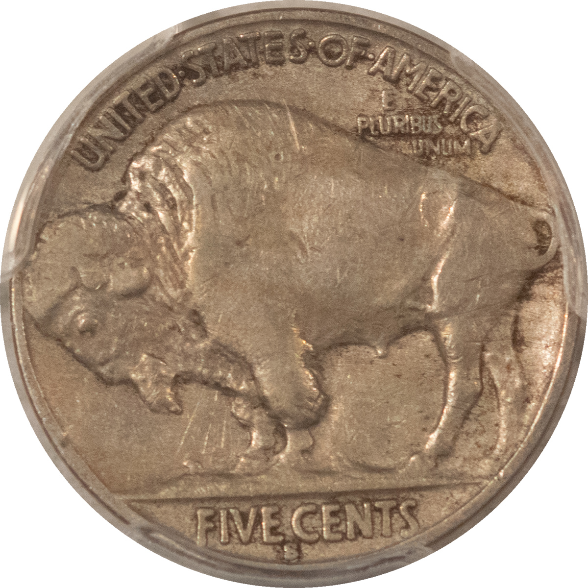 Buffalo Nickels 1931-S BUFFALO NICKEL – PCGS VF-25 Buffalo Nickels 1931-S BUFFALO NICKEL – PCGS VF-25