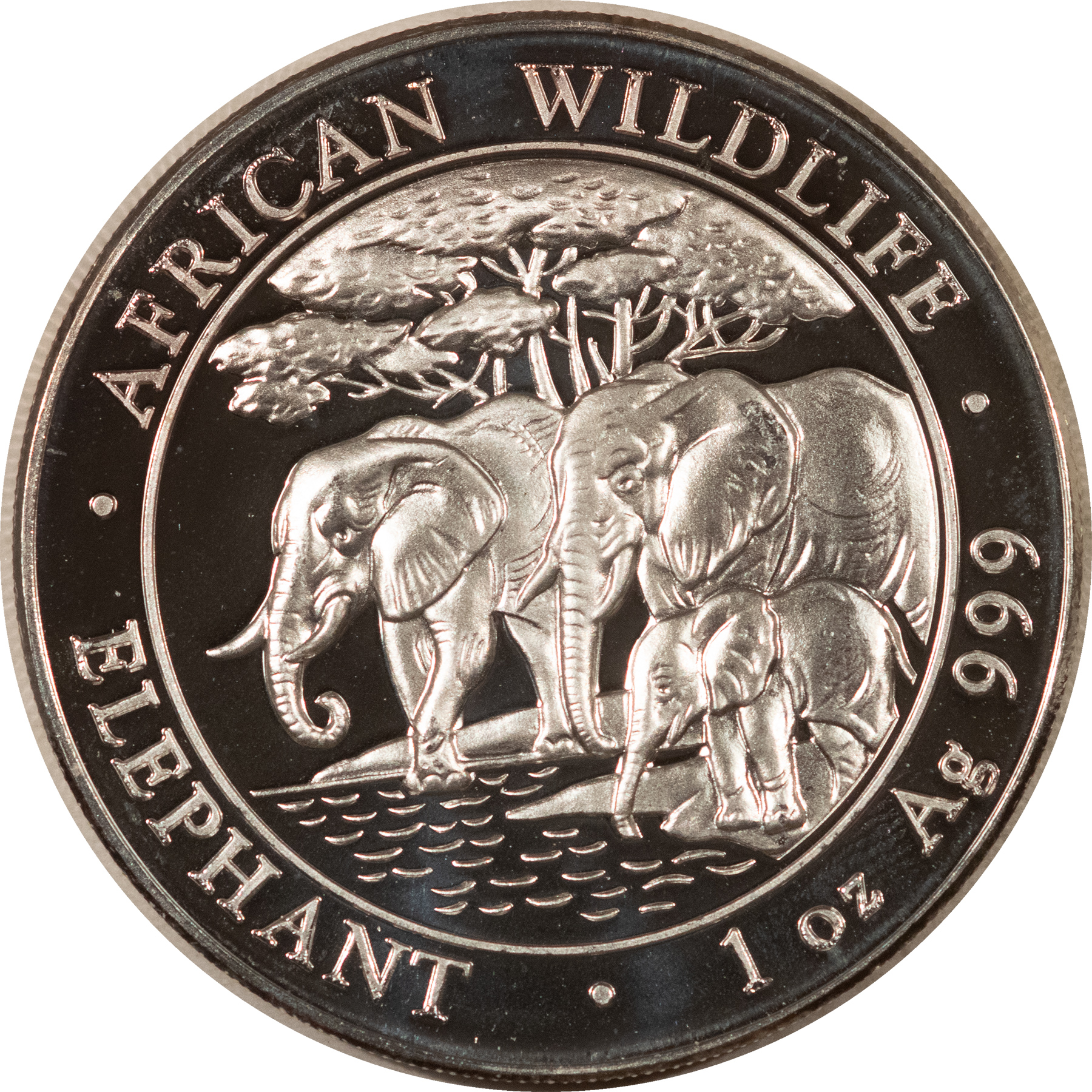 Bullion 2013 SOMALIA 100 SHILLINGS AFRICAN ELEPHANT 1 OZ .999 SILVER – GEM UNCIRCULATED Bullion 2013 SOMALIA 100 SHILLINGS AFRICAN ELEPHANT 1 OZ .999 SILVER – GEM UNCIRCULATED