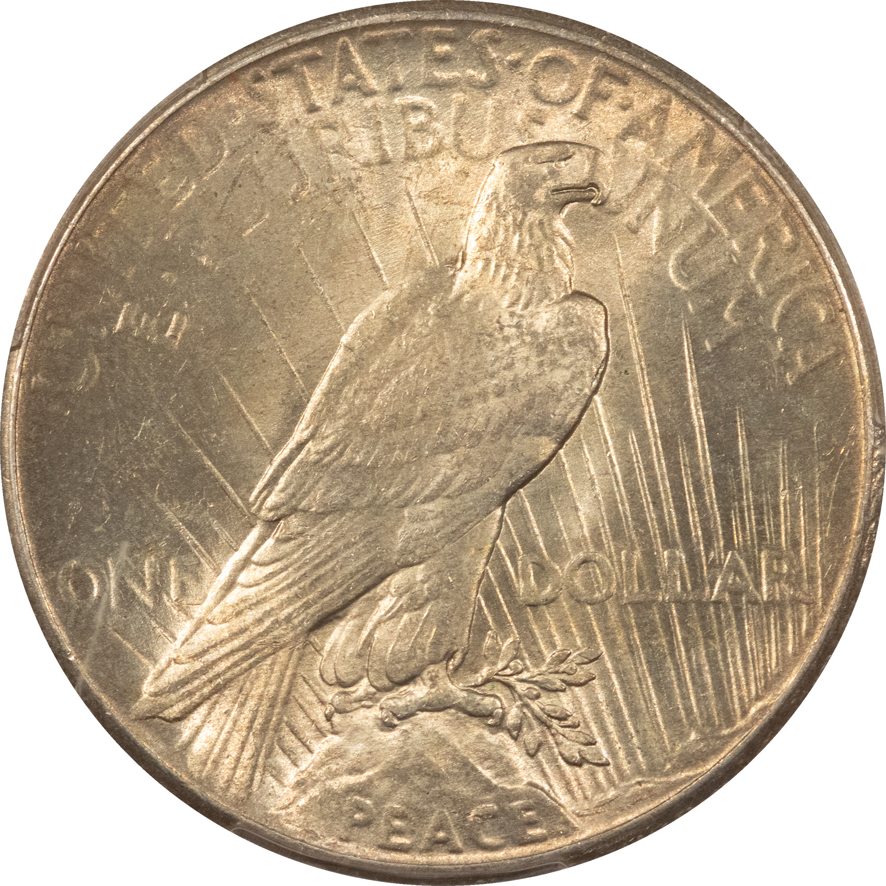 Dollars 1926 $1 PEACE DOLLAR – PCGS MS-64 Dollars 1926 $1 PEACE DOLLAR – PCGS MS-64