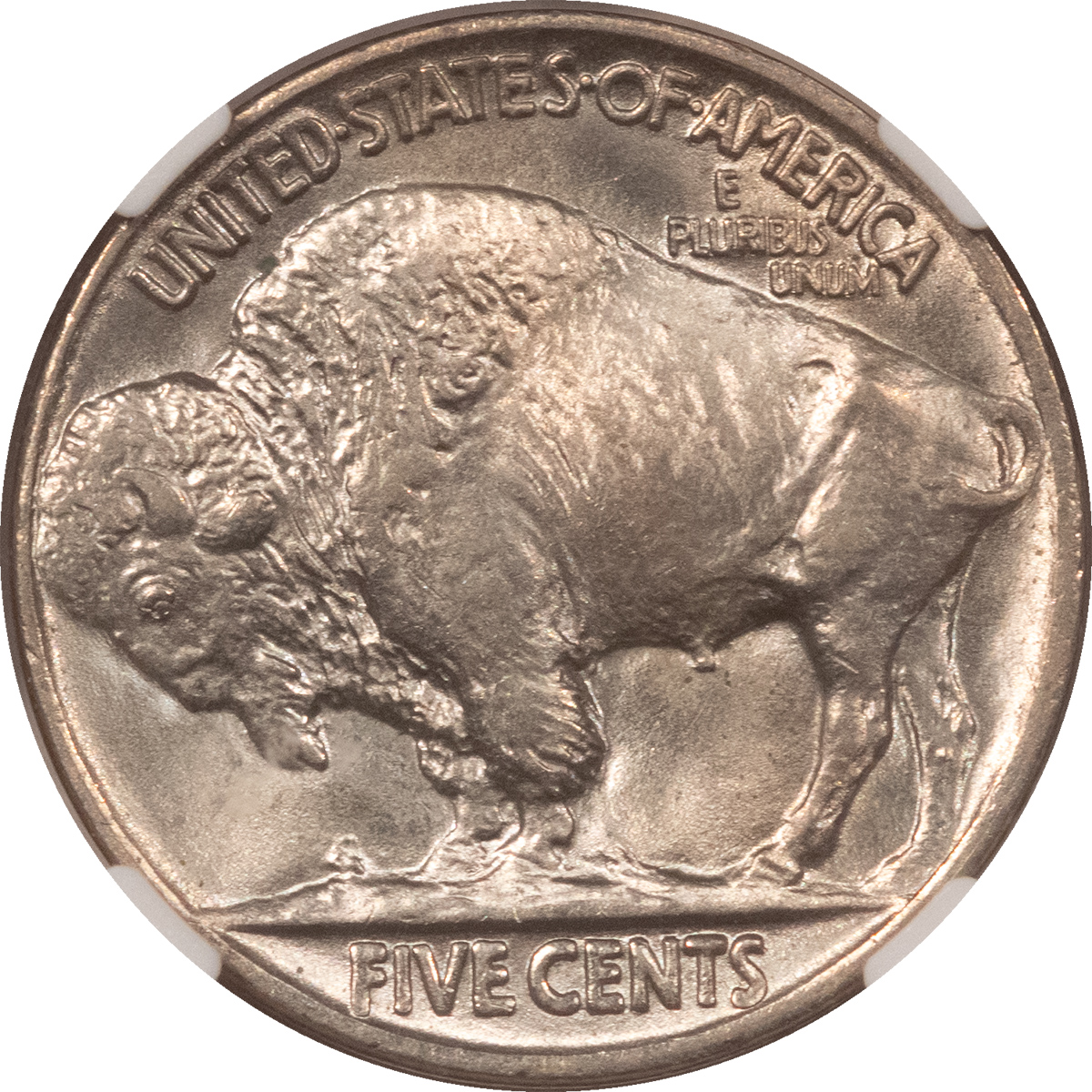 Buffalo Nickels 1919 BUFFALO NICKEL – NGC MS-65, PREMIUM QUALITY SCREAMER! CAC APPROVED! Buffalo Nickels 1919 BUFFALO NICKEL – NGC MS-65, PREMIUM QUALITY SCREAMER! CAC APPROVED!