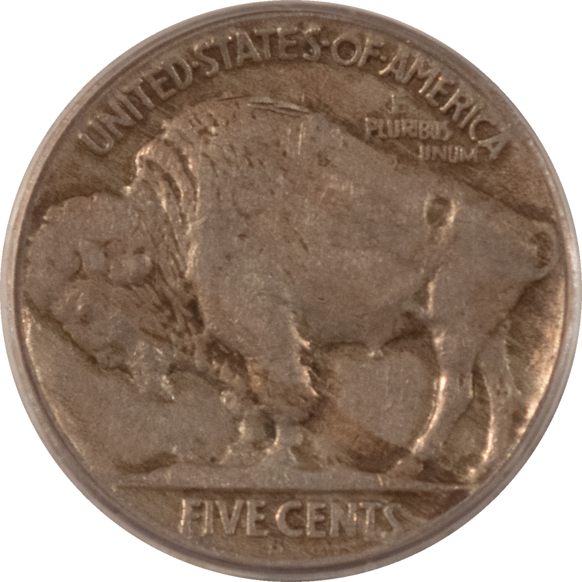 Buffalo Nickels 1921-S BUFFALO NICKEL – PCGS VF-20 Buffalo Nickels 1921-S BUFFALO NICKEL – PCGS VF-20