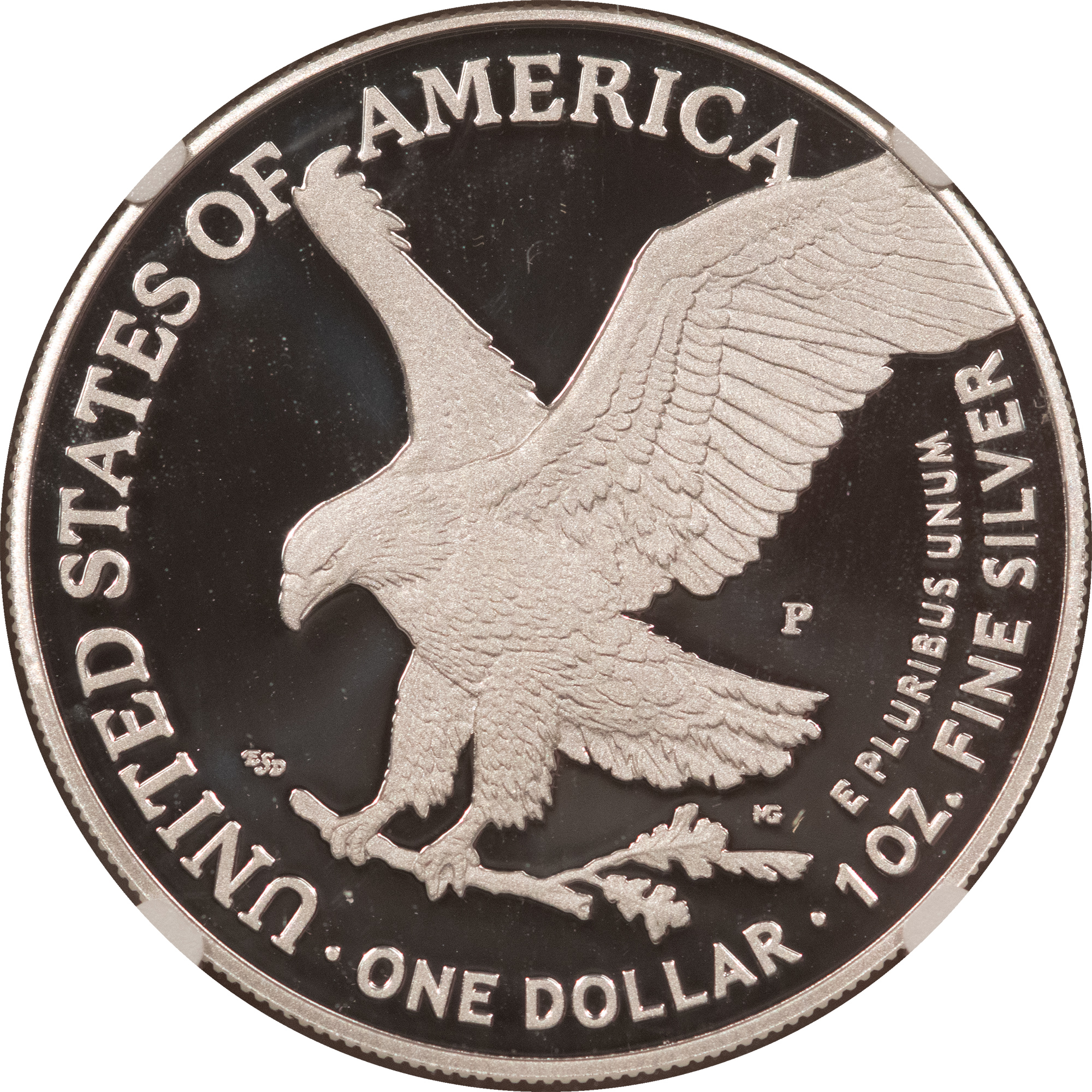 American Silver Eagles 2025-P $1 AMERICAN SILVER EAGLE 1 OZ .999 US MARINES 250TH PRIVY NGC PF-70 UCAM American Silver Eagles 2025-P $1 AMERICAN SILVER EAGLE 1 OZ .999 US MARINES 250TH PRIVY NGC PF-70 UCAM