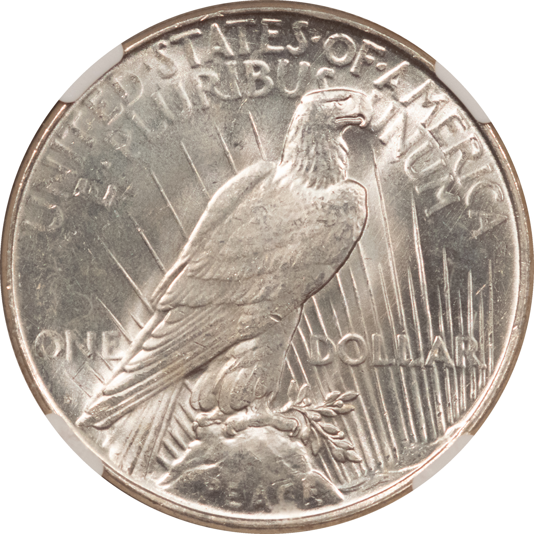 Dollars 1923-D $1 PEACE DOLLAR – NGC MS-64, BLAST WHITE & NICE! Dollars 1923-D $1 PEACE DOLLAR – NGC MS-64, BLAST WHITE & NICE!
