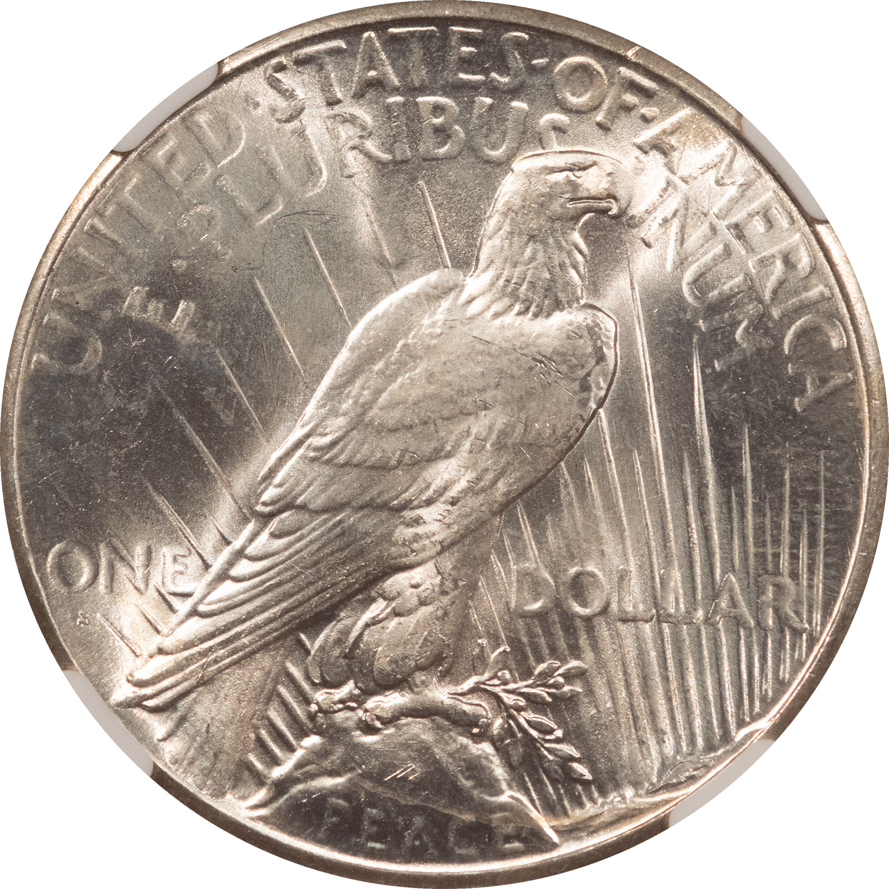 Dollars 1926-S $1 PEACE DOLLAR – NGC MS-64+, BLAST WHITE & PREMIUM QUALITY! Dollars 1926-S $1 PEACE DOLLAR – NGC MS-64+, BLAST WHITE & PREMIUM QUALITY!