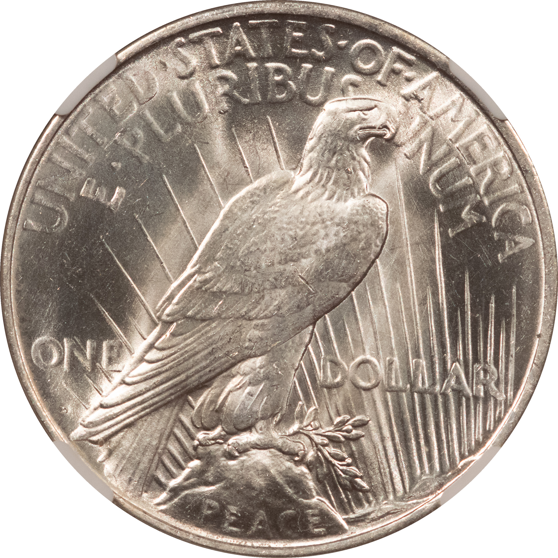 Dollars 1927-D $1 PEACE DOLLAR – NGC MS-64, BLAST WHITE & LOOKS GEM! Dollars 1927-D $1 PEACE DOLLAR – NGC MS-64, BLAST WHITE & LOOKS GEM!