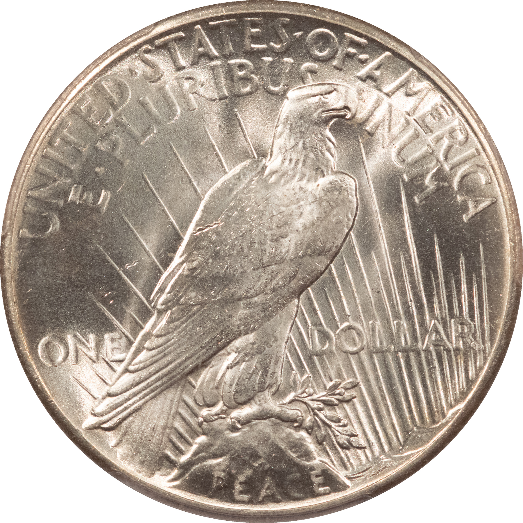CAC Approved Coins 1928 $1 PEACE DOLLAR – PCGS MS-64, LOOKS 65+ BLAST WHITE, PQ & CAC APPROVED! CAC Approved Coins 1928 $1 PEACE DOLLAR – PCGS MS-64, LOOKS 65+ BLAST WHITE, PQ & CAC APPROVED!