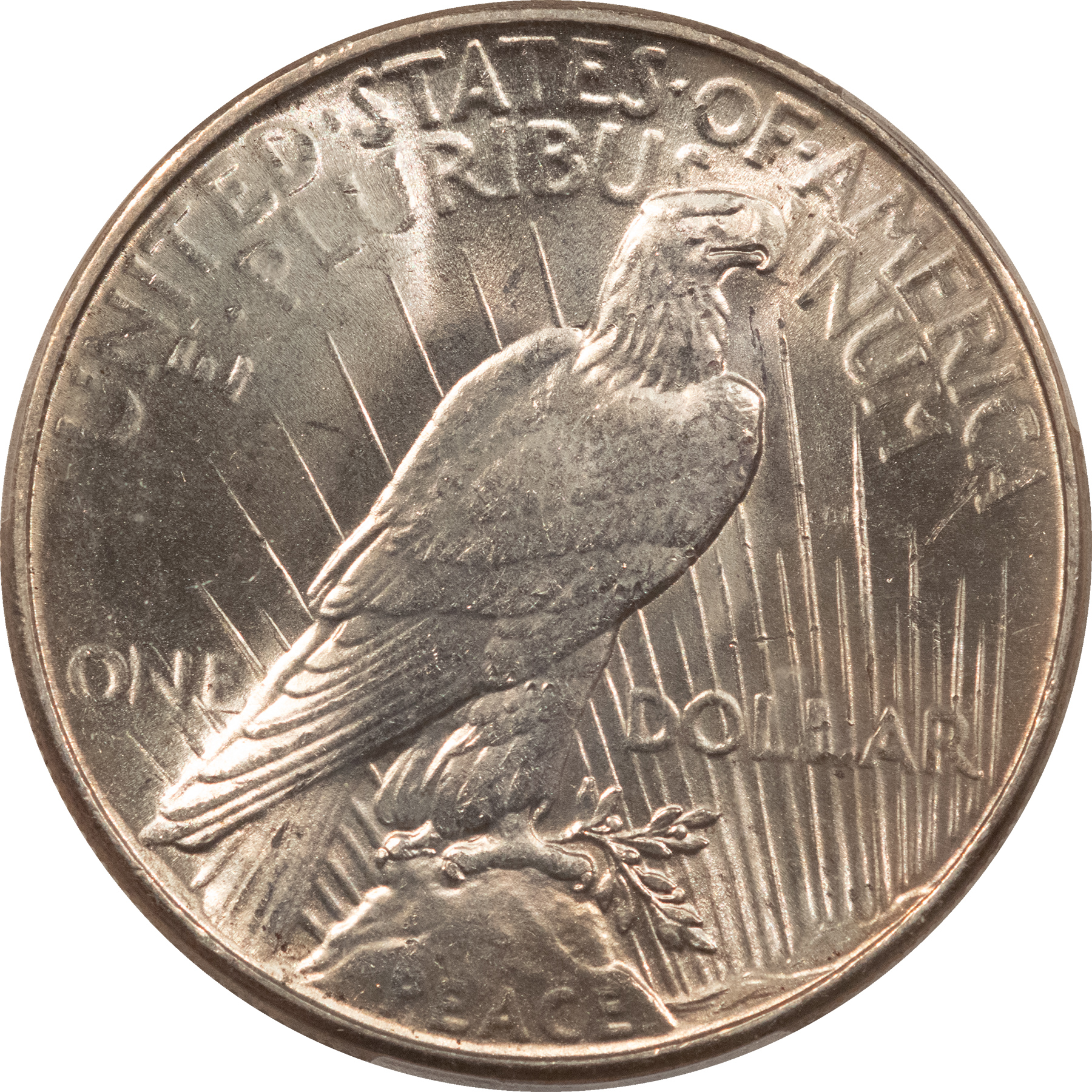 Dollars 1934 $1 PEACE DOLLAR – PCGS MS-64 OUTSTANDING LUSTER, LOOKS GEM PREMIUM QUALITY! Dollars 1934 $1 PEACE DOLLAR – PCGS MS-64 OUTSTANDING LUSTER, LOOKS GEM PREMIUM QUALITY!