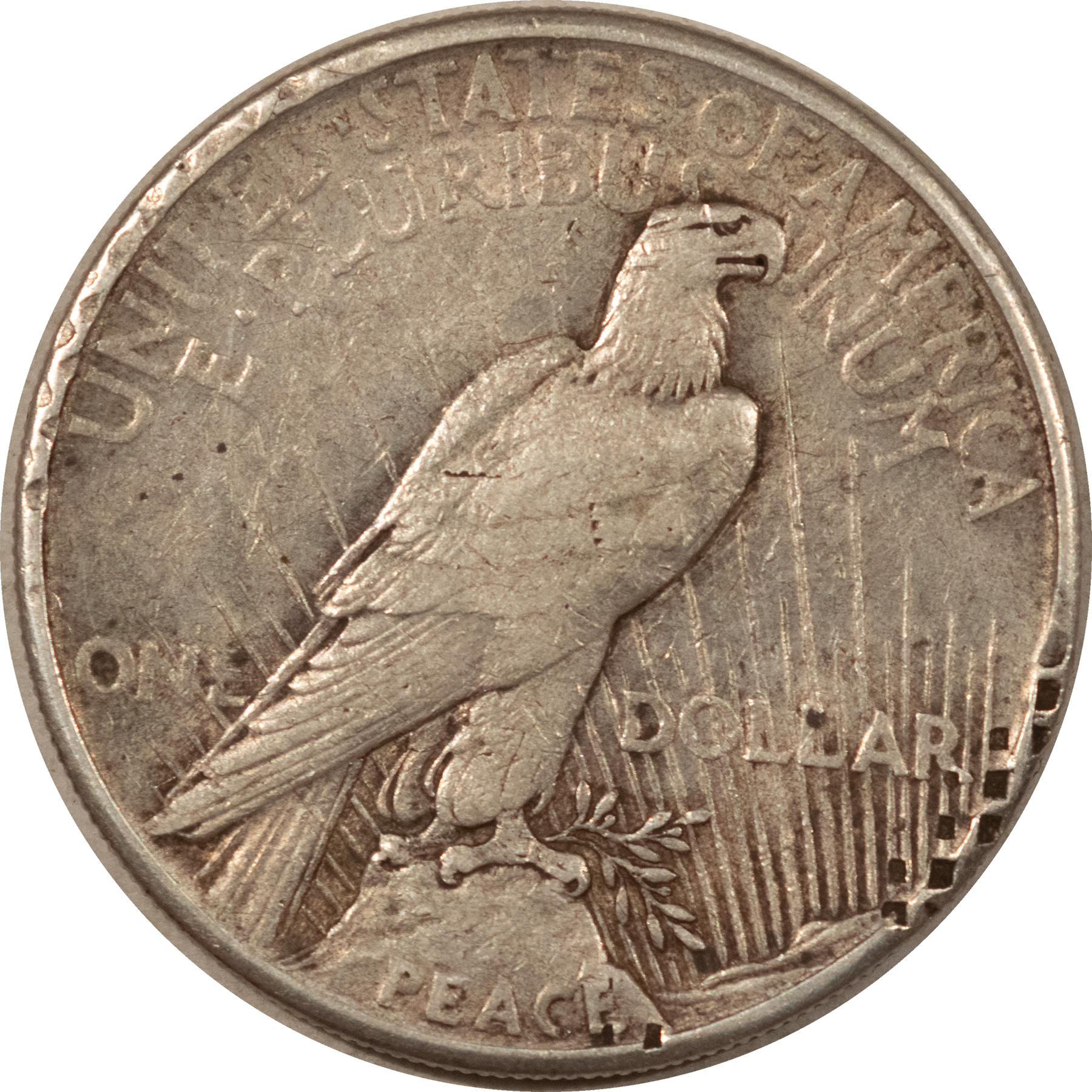 Dollars 1921 $1 PEACE DOLLAR, HIGH RELIEF – CIRCULATED, EXTENSIVE RIM DAMAGE! Dollars 1921 $1 PEACE DOLLAR, HIGH RELIEF – CIRCULATED, EXTENSIVE RIM DAMAGE!