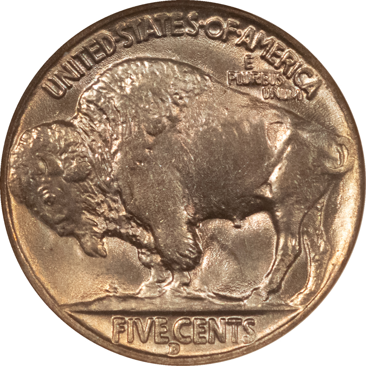 Buffalo Nickels 1938-D BUFFALO NICKEL – NGC MS-66, LOOKS 67! FATTY HOLDER! PREMIUM QUALITY! Buffalo Nickels 1938-D BUFFALO NICKEL – NGC MS-66, LOOKS 67! FATTY HOLDER! PREMIUM QUALITY!