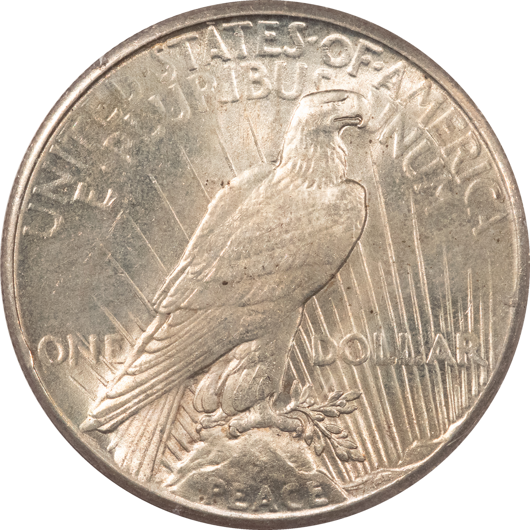 Dollars 1926 $1 PEACE DOLLAR – PCGS MS-63, RATTLER! PREMIUM QUALITY! Dollars 1926 $1 PEACE DOLLAR – PCGS MS-63, RATTLER! PREMIUM QUALITY!