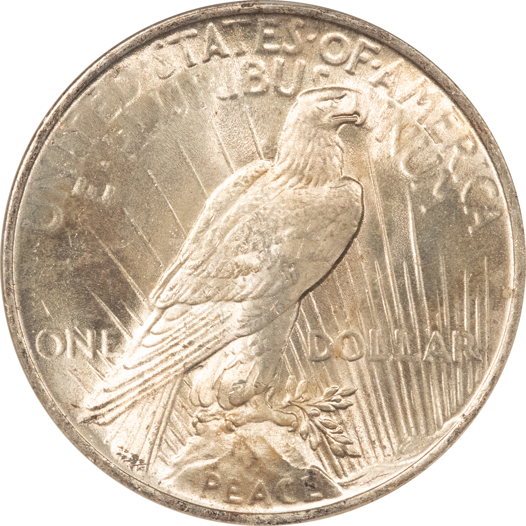 Dollars 1923 $1 PEACE DOLLAR, VAM1A WHISKER JAW ANACS MS-63 OLD SOAPBOX PREMIUM QUALITY! Dollars 1923 $1 PEACE DOLLAR, VAM1A WHISKER JAW ANACS MS-63 OLD SOAPBOX PREMIUM QUALITY!