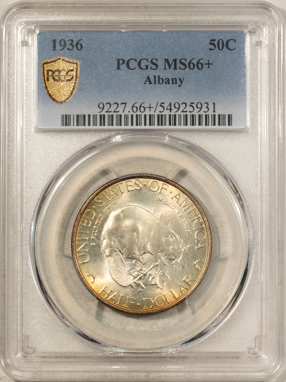New Certified Coins 1936 ALBANY COMMEMORATIVE HALF DOLLAR PCGS MS-66+, SUPERB LOOKS 67! New Certified Coins 1936 ALBANY COMMEMORATIVE HALF DOLLAR PCGS MS-66+, SUPERB LOOKS 67!