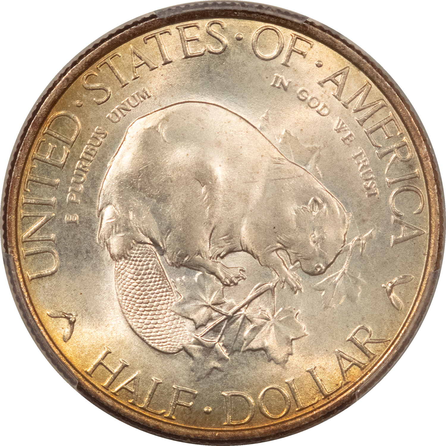 New Certified Coins 1936 ALBANY COMMEMORATIVE HALF DOLLAR PCGS MS-66+, SUPERB LOOKS 67! New Certified Coins 1936 ALBANY COMMEMORATIVE HALF DOLLAR PCGS MS-66+, SUPERB LOOKS 67!