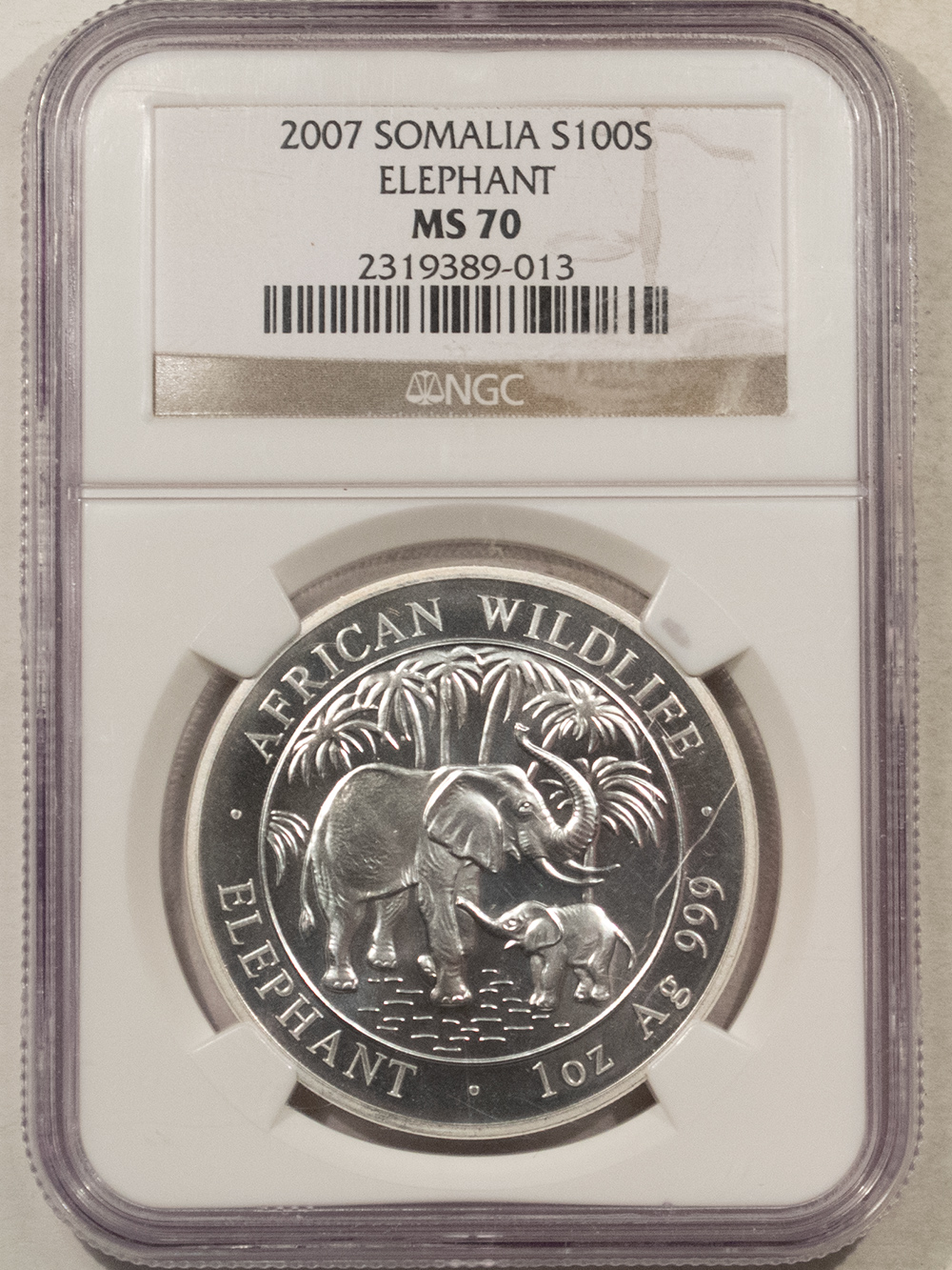 Bullion 2007 SOMALIA SILVER 100 SHILLINGS, ELEPHANT 1 OZ .999 – NGC MS-70, LOW MINTAGE! Bullion 2007 SOMALIA SILVER 100 SHILLINGS, ELEPHANT 1 OZ .999 – NGC MS-70, LOW MINTAGE!