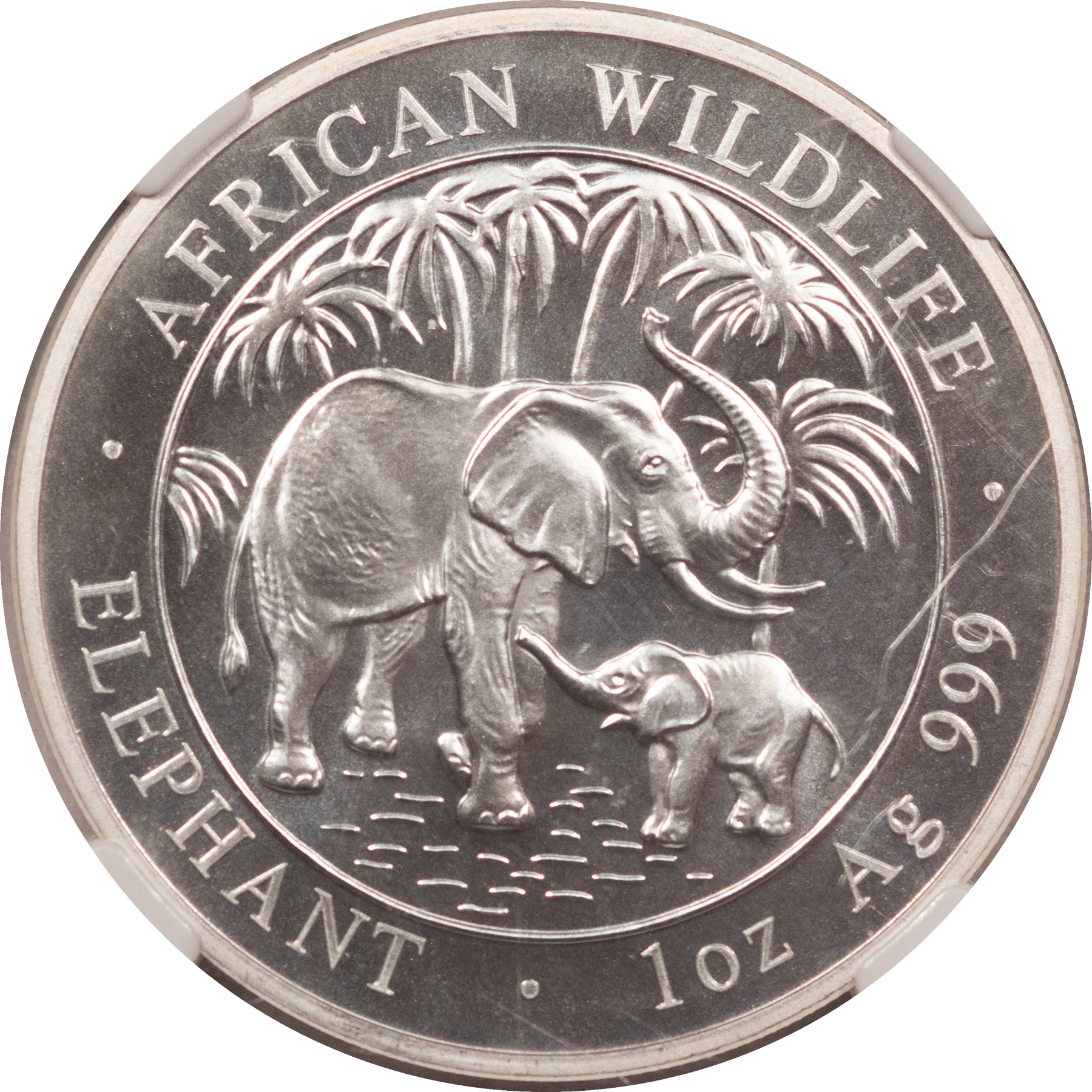Bullion 2007 SOMALIA SILVER 100 SHILLINGS, ELEPHANT 1 OZ .999 – NGC MS-70, LOW MINTAGE! Bullion 2007 SOMALIA SILVER 100 SHILLINGS, ELEPHANT 1 OZ .999 – NGC MS-70, LOW MINTAGE!